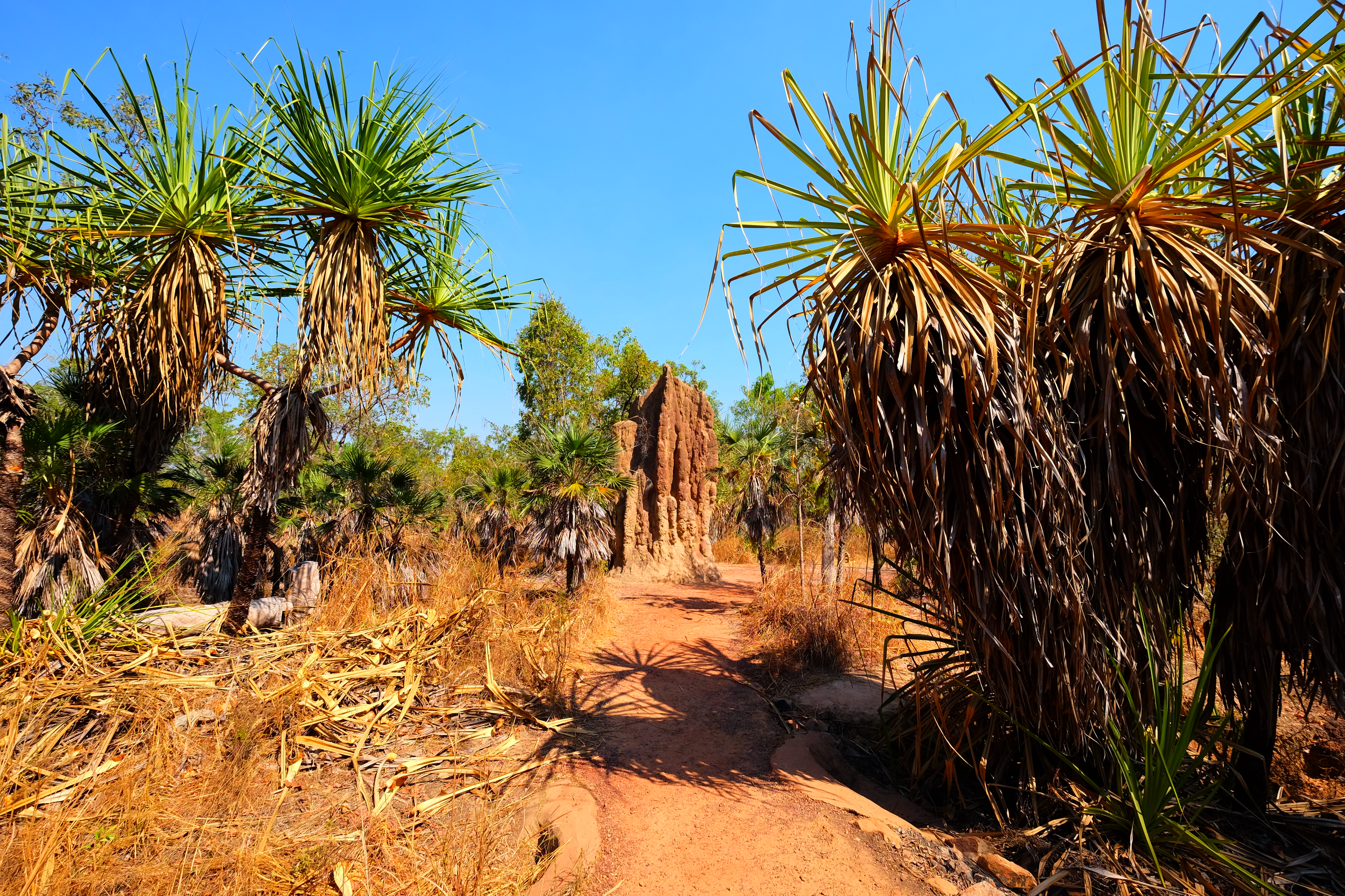 Litchfield Park Australia photo 1
