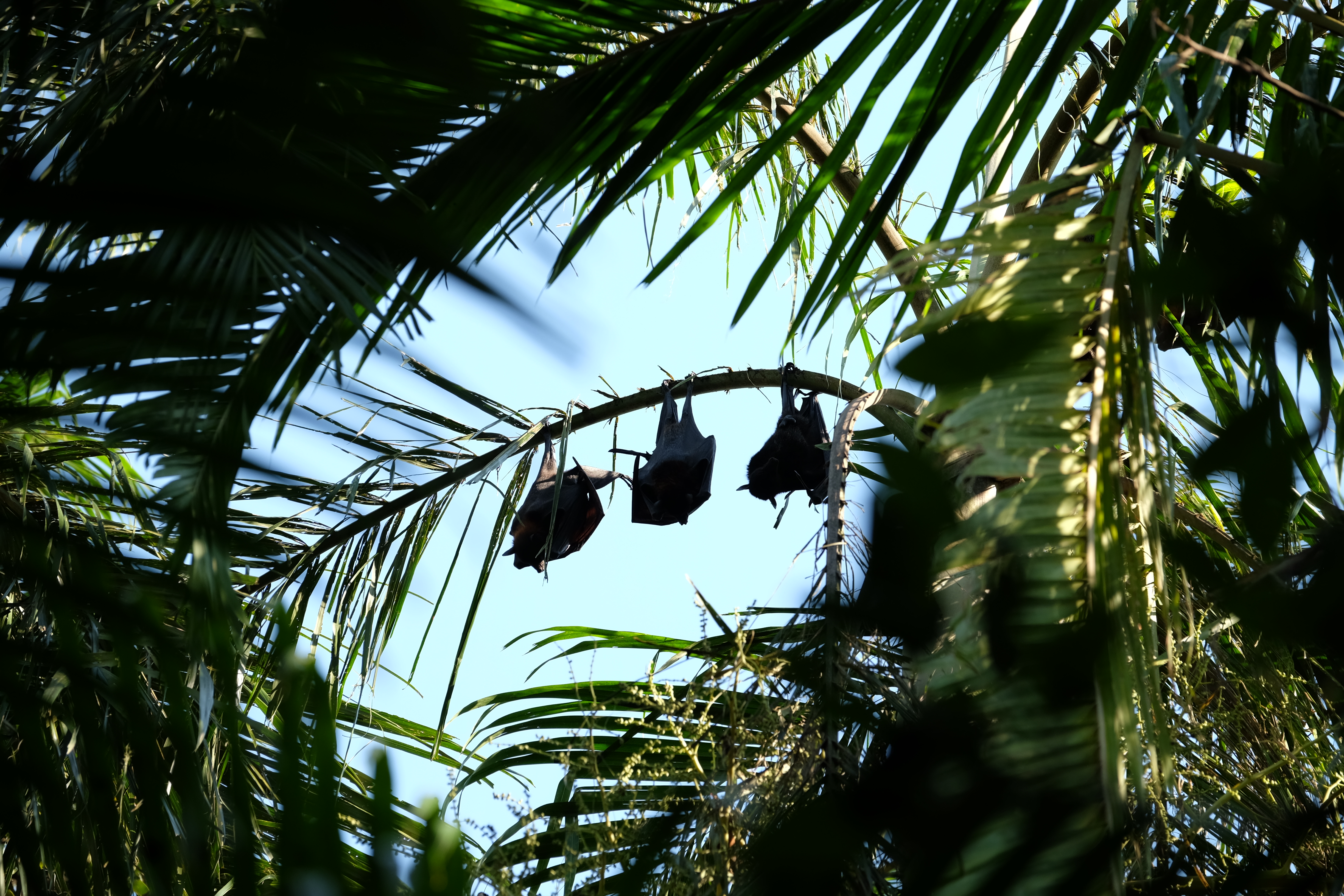 Litchfield Park Australia photo 4