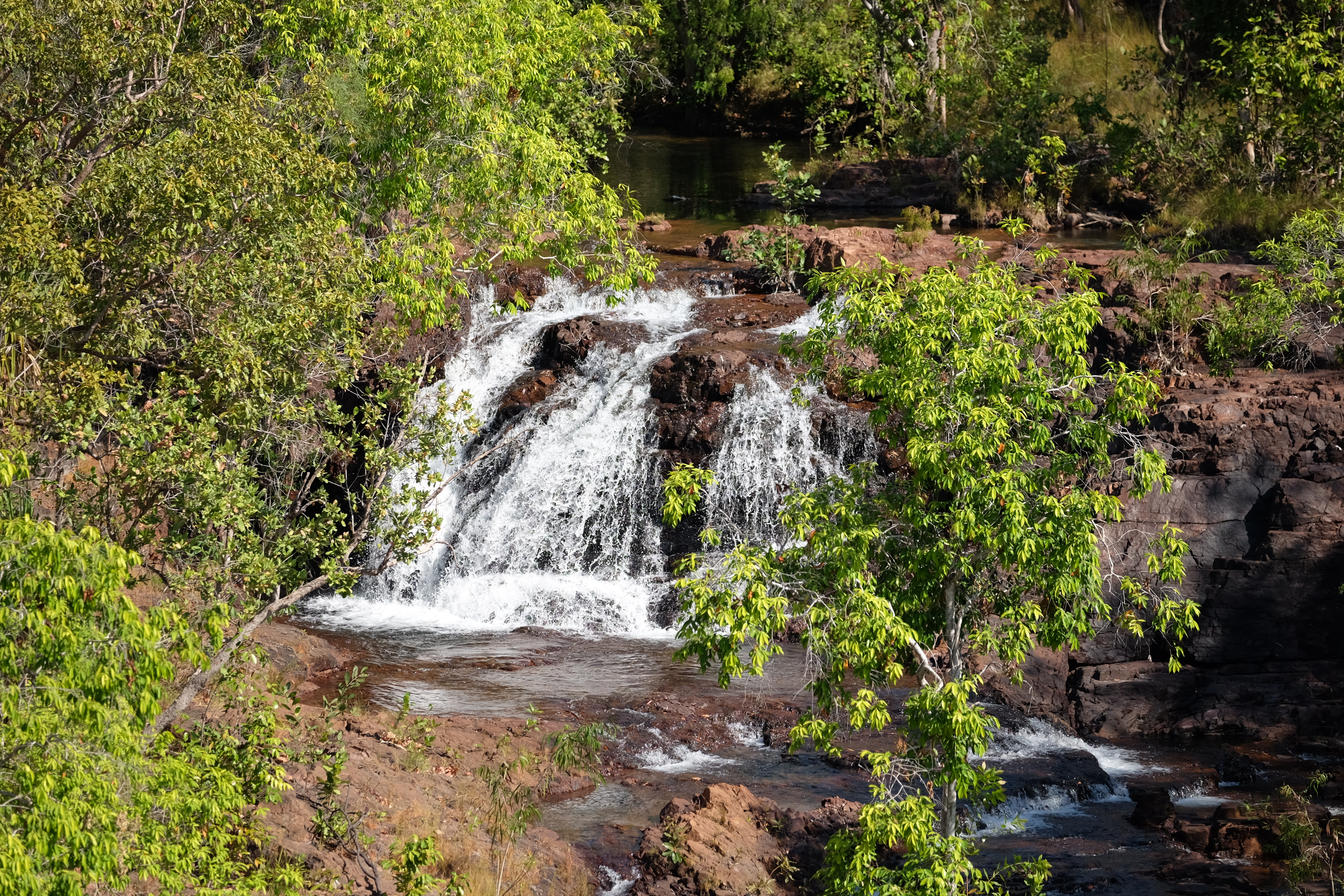 Litchfield Park Australia photo 5