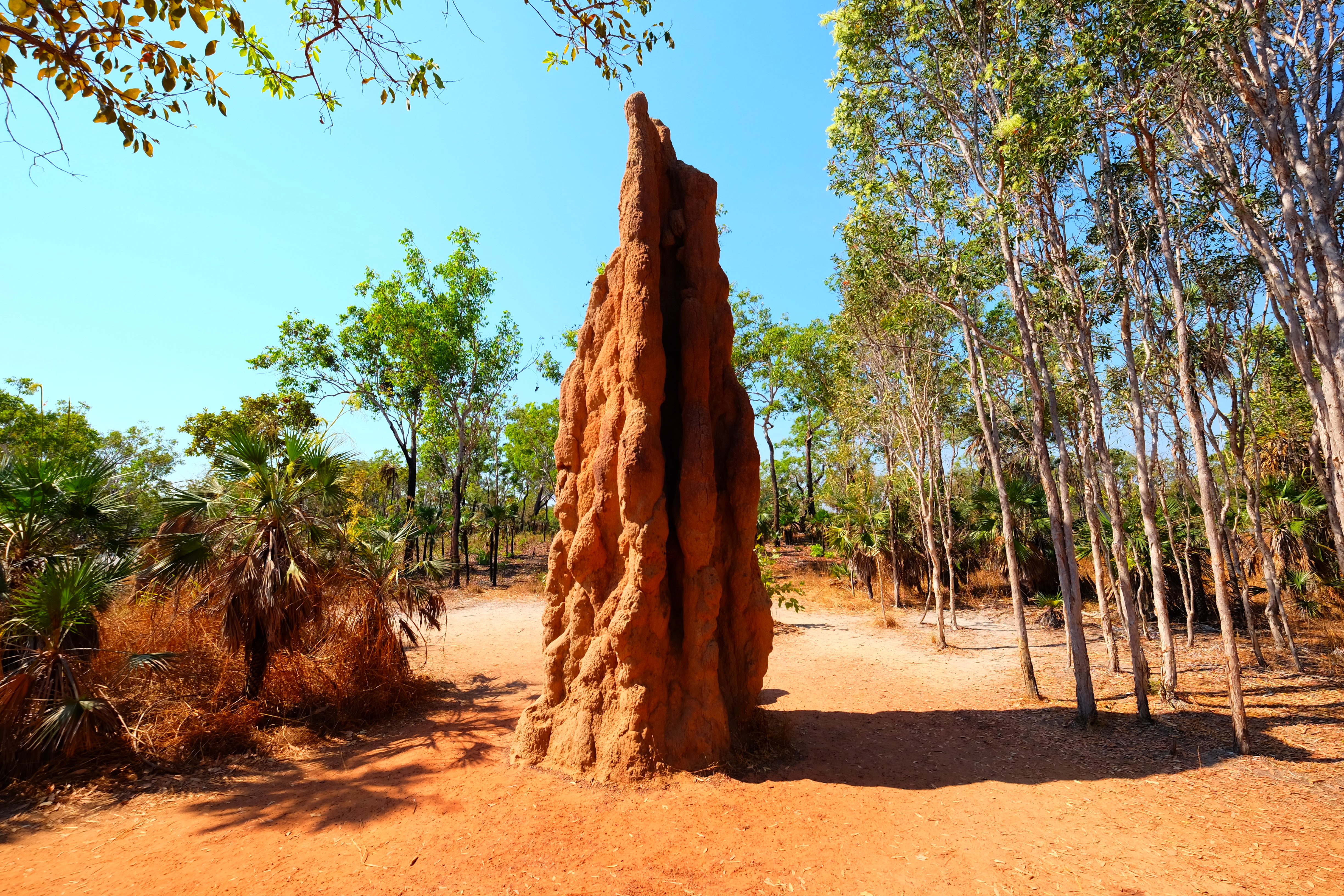 Litchfield Park Australia photo 6