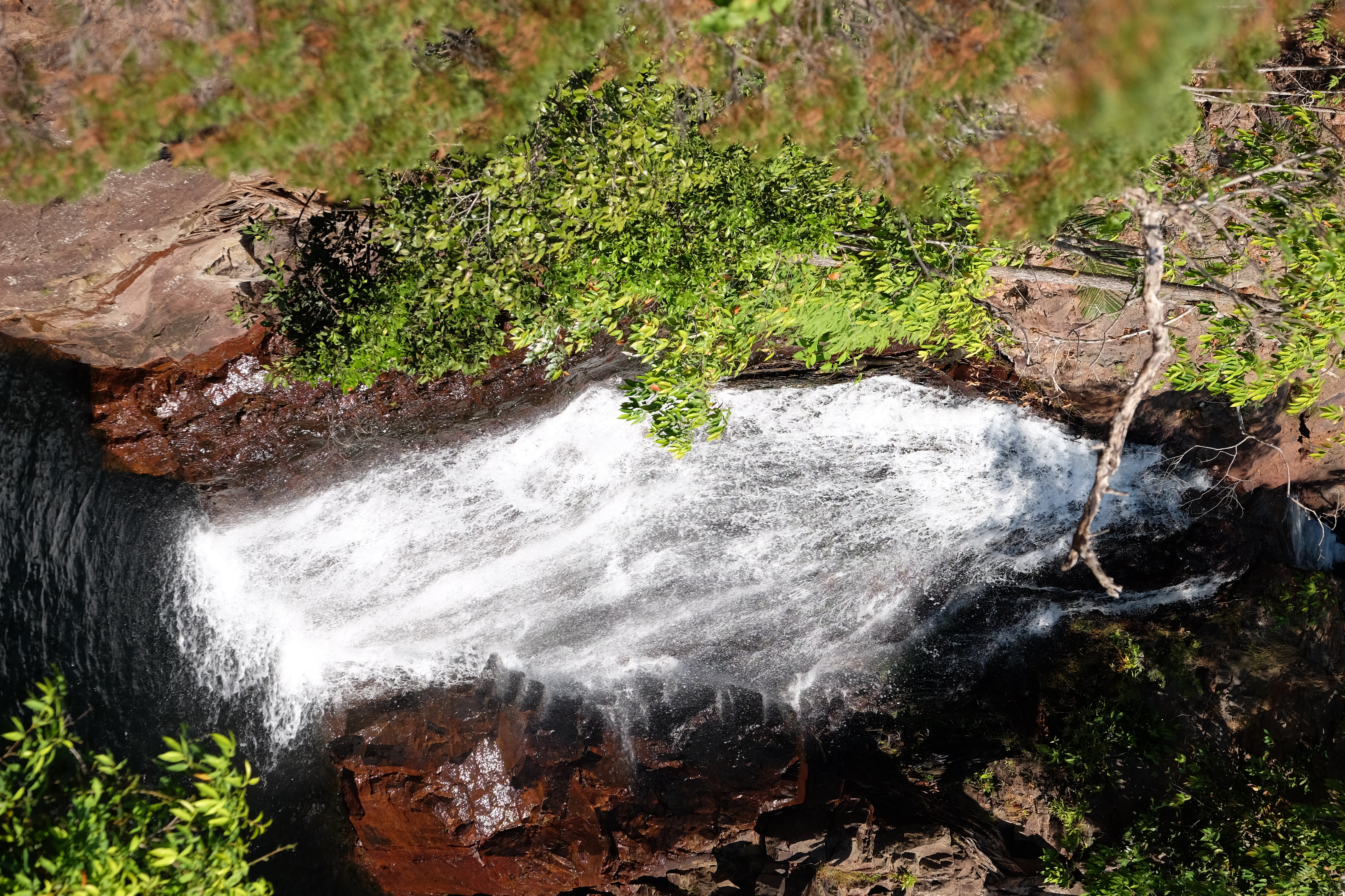 Litchfield Park Australia photo 10