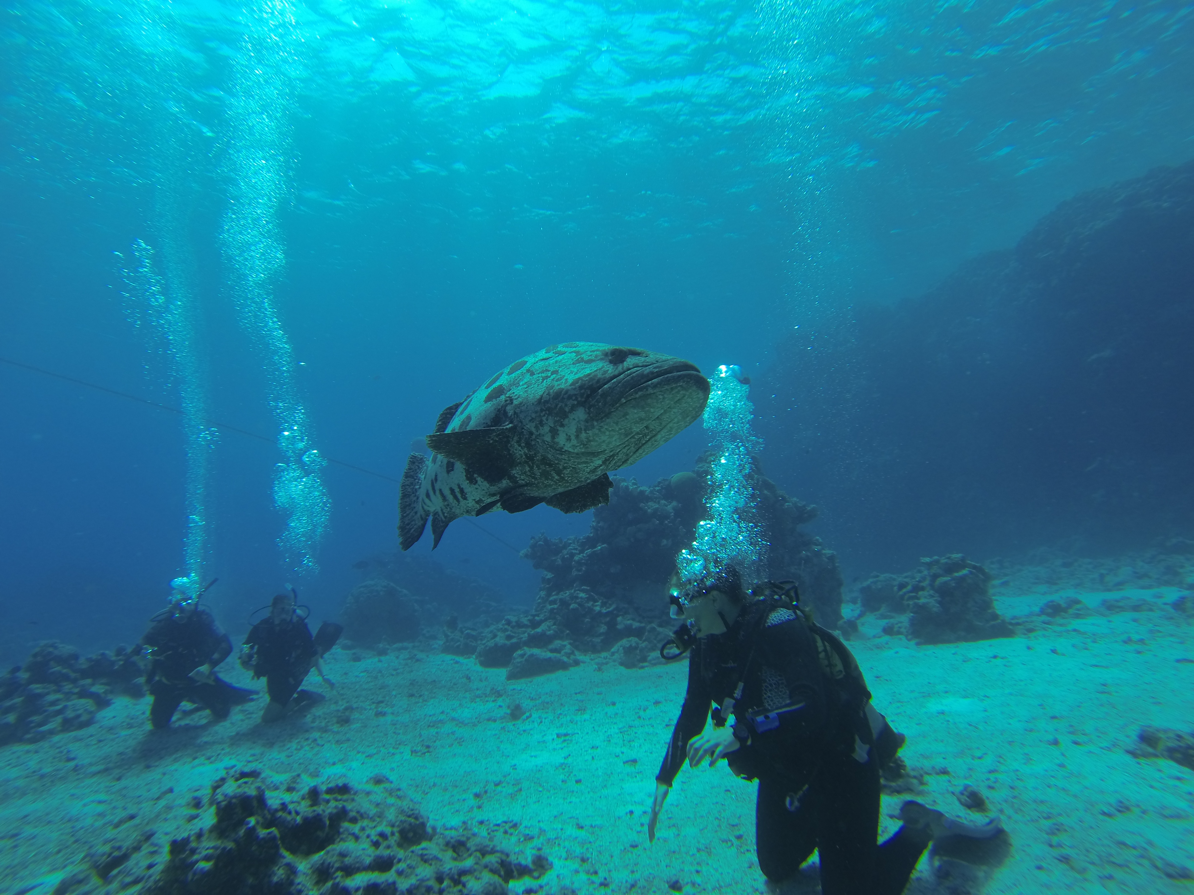 Lizard Island Australia photo 1