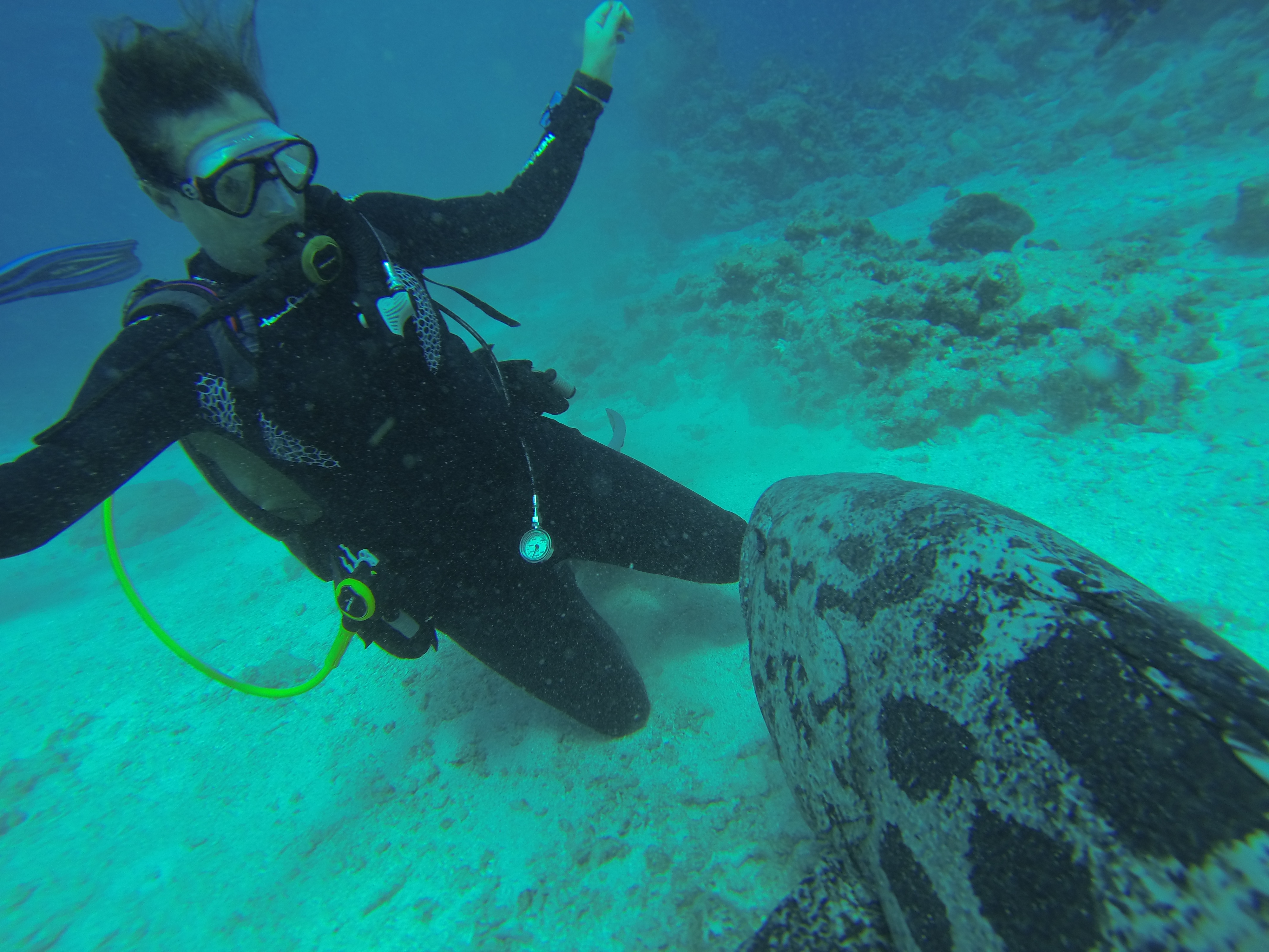 Lizard Island Australia photo 3