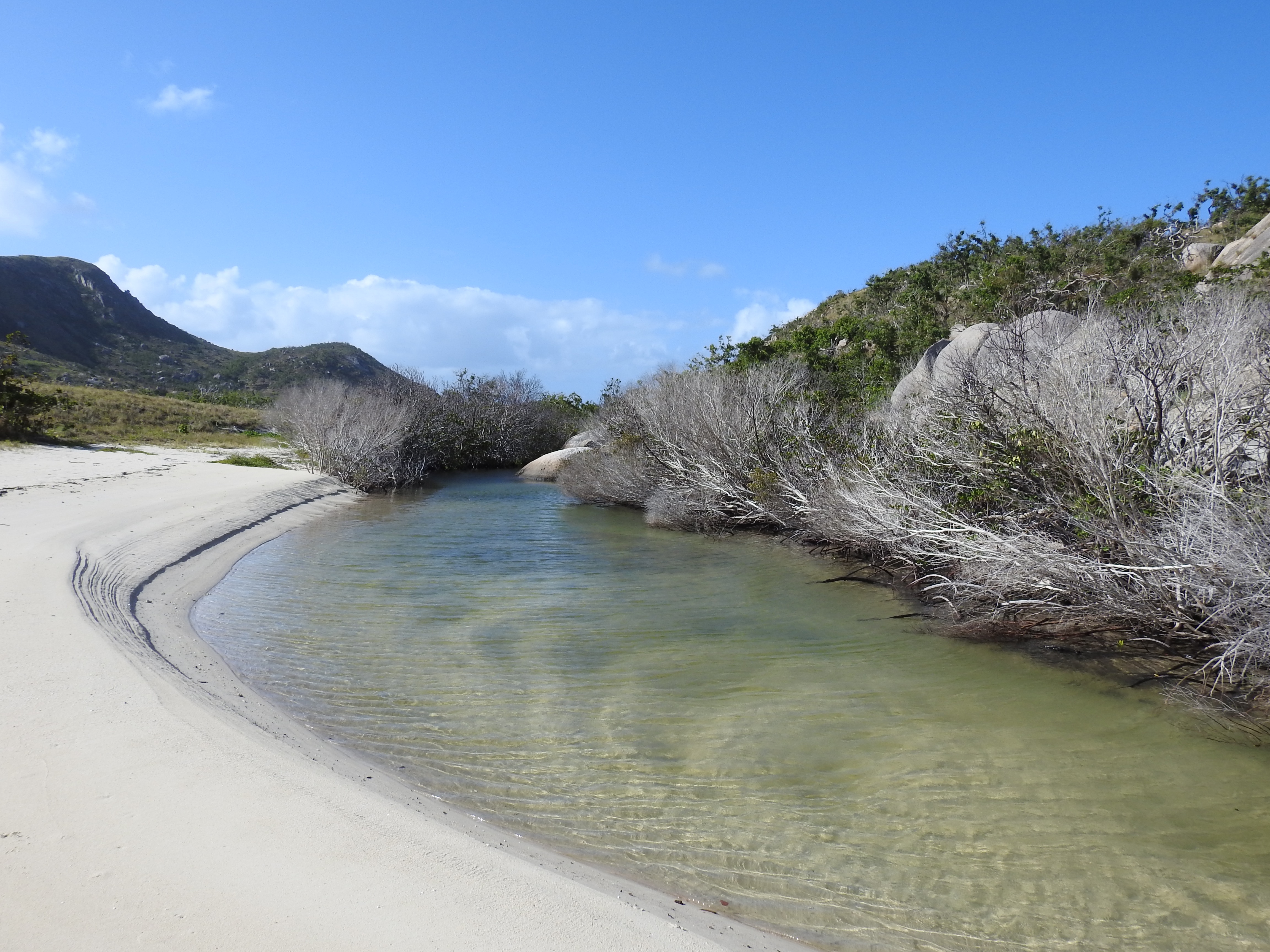 Lizard Island Australia photo 9