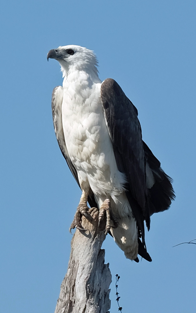 Mary River Australia photo 2