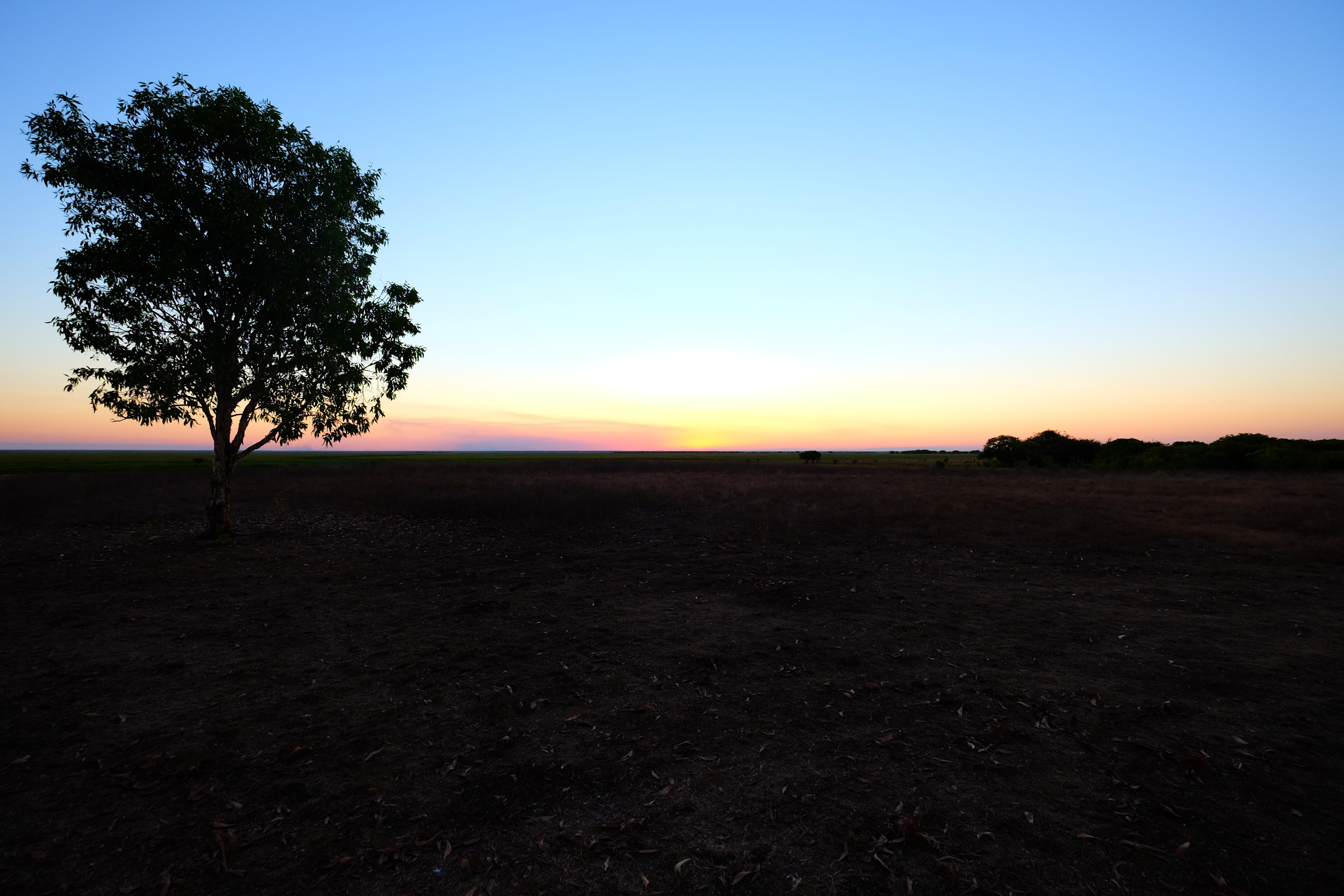 Mary River Australia photo 9