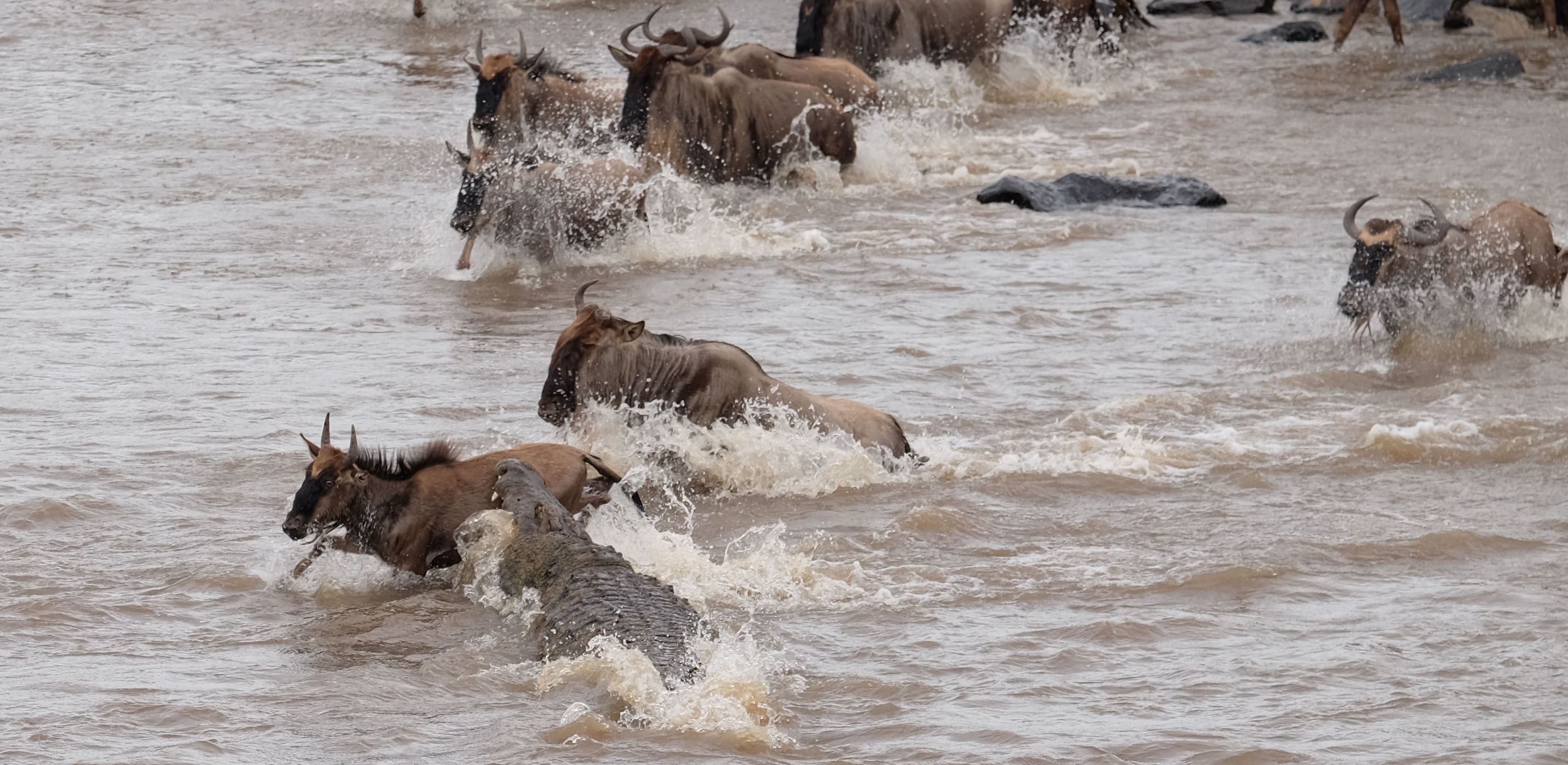 Masaai Mara Kenya photo 3