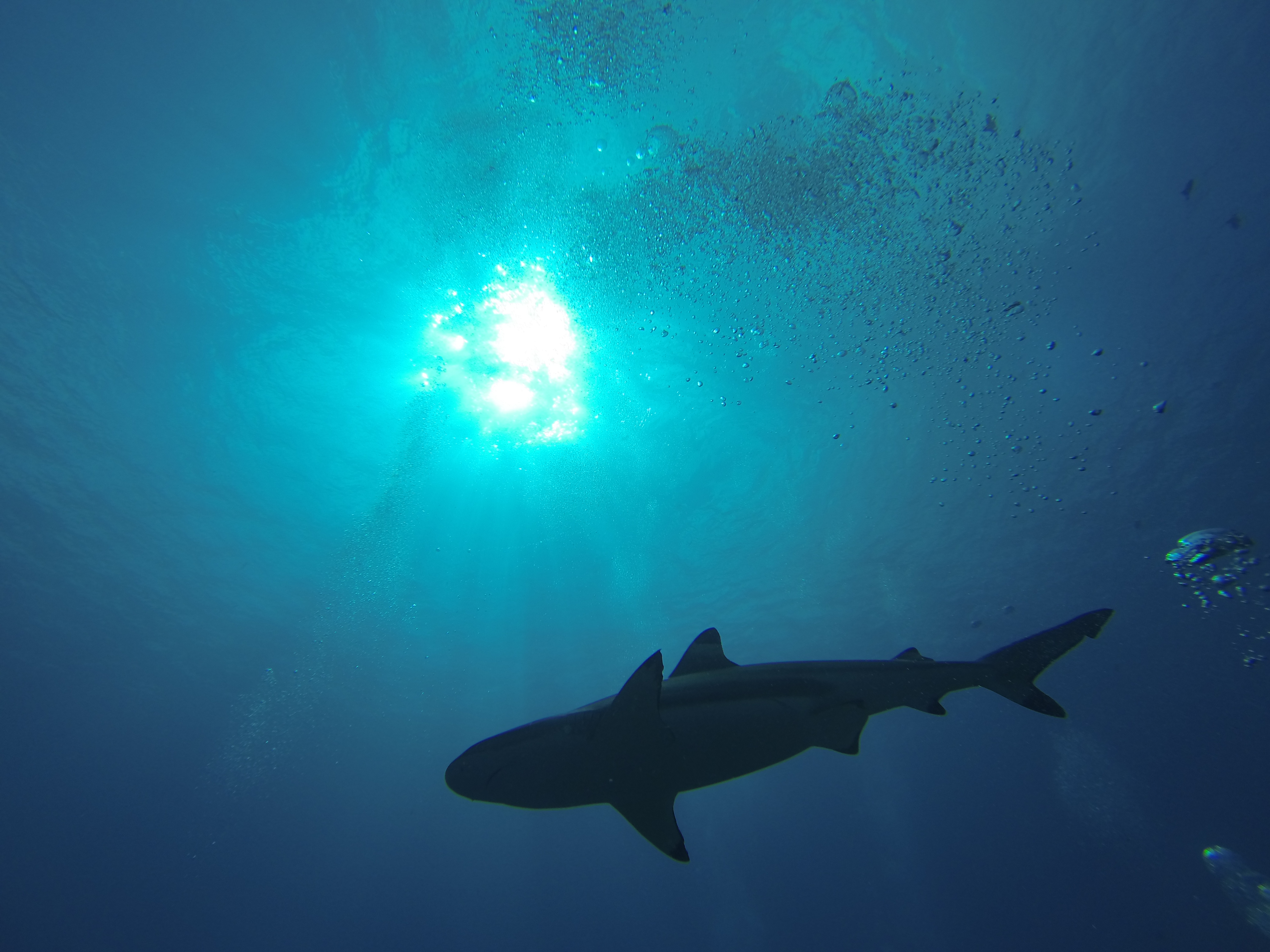 Moorea French Polynesia photo 2