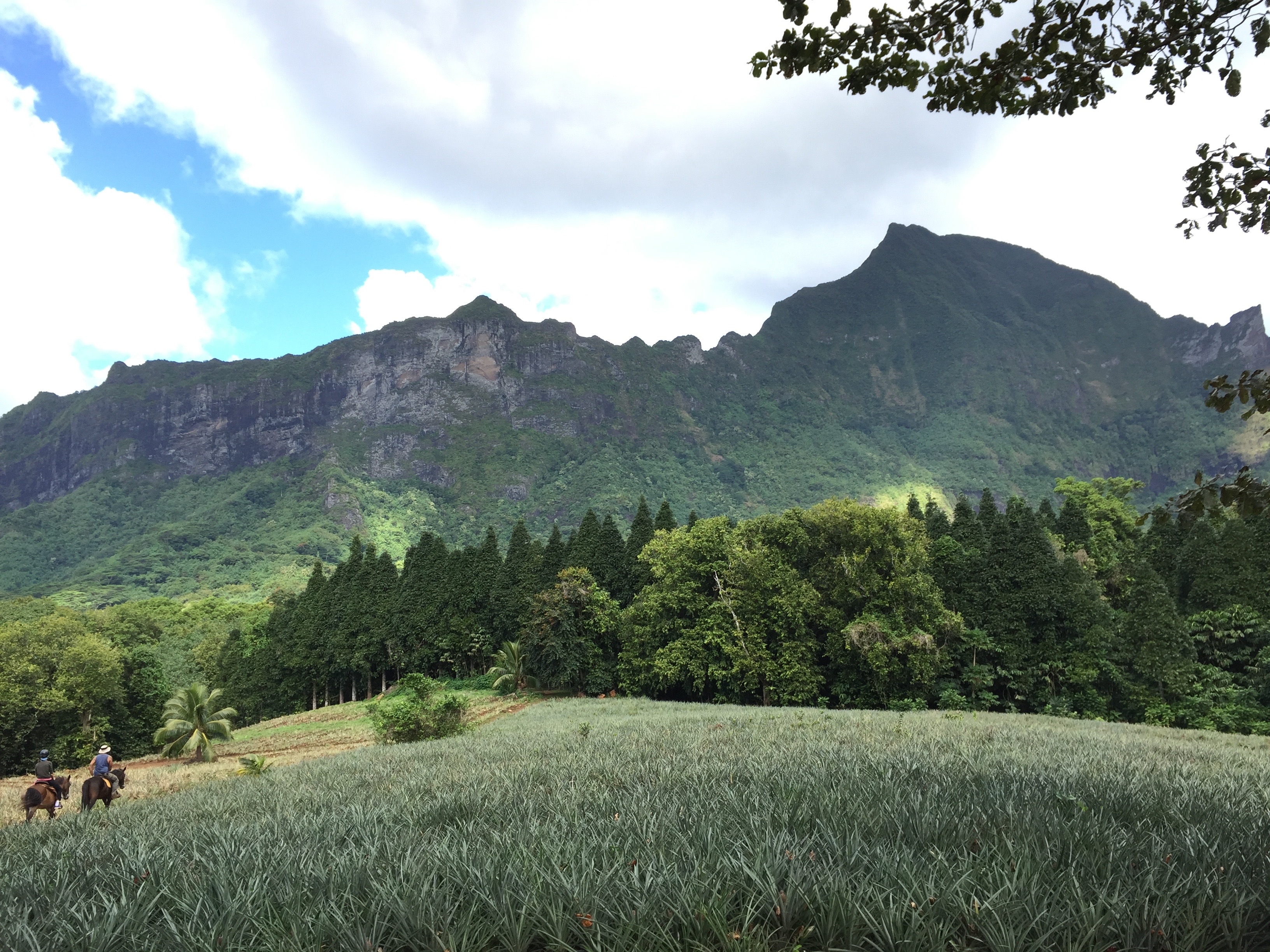 Moorea French Polynesia photo 3