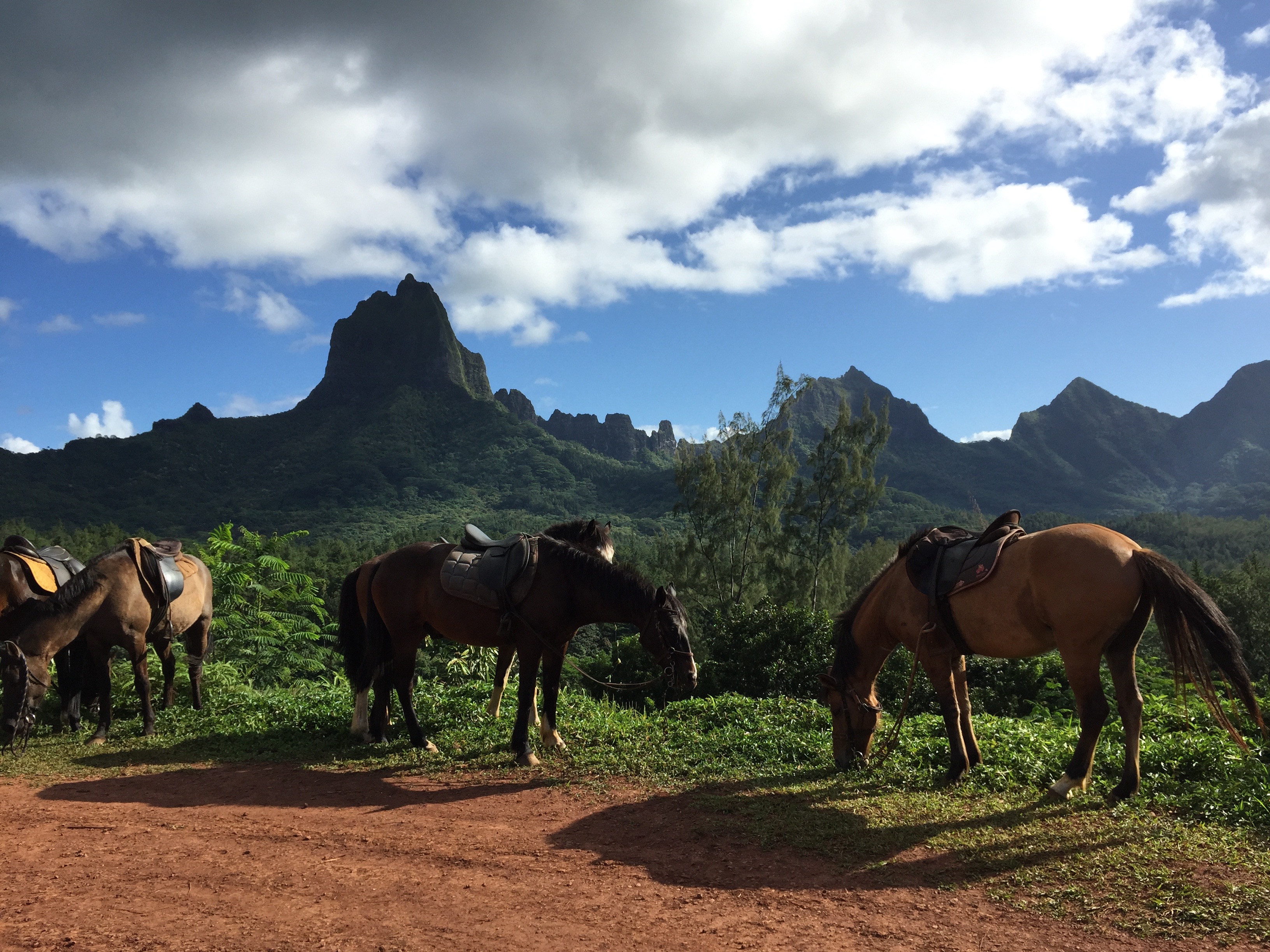 Moorea French Polynesia photo 4
