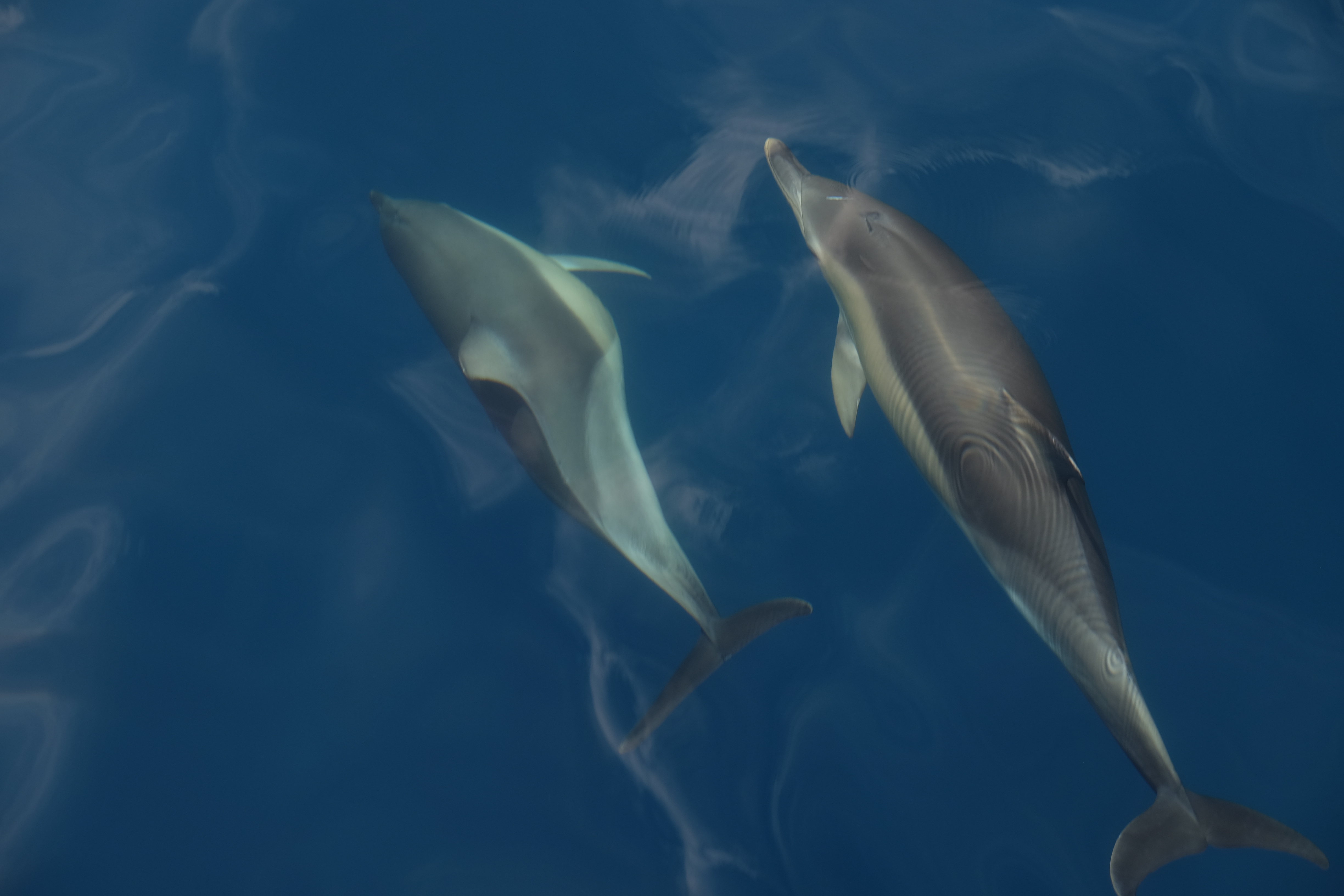 Myrina Greece photo 1