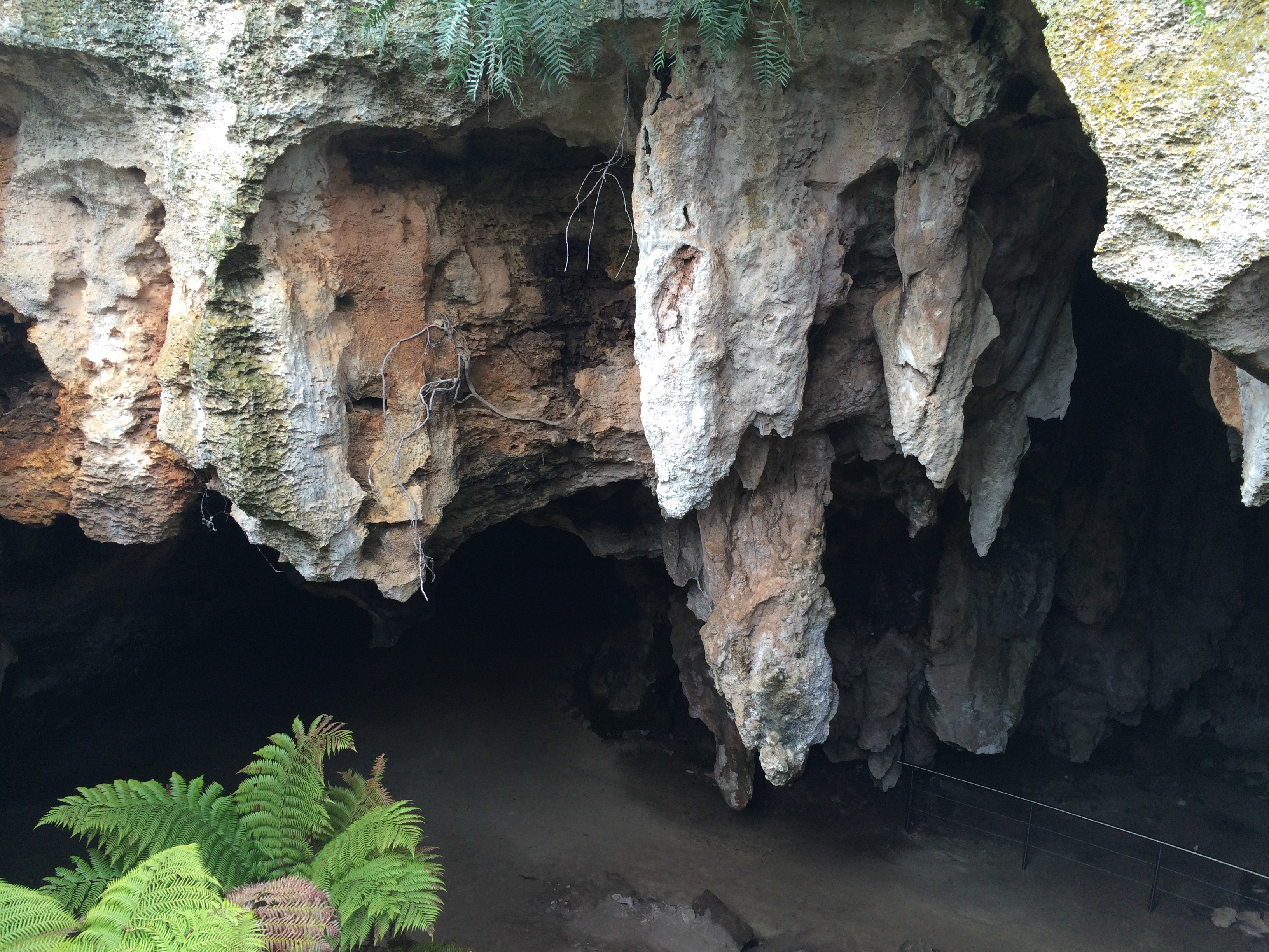 Naracoorte Cave Australia photo 3