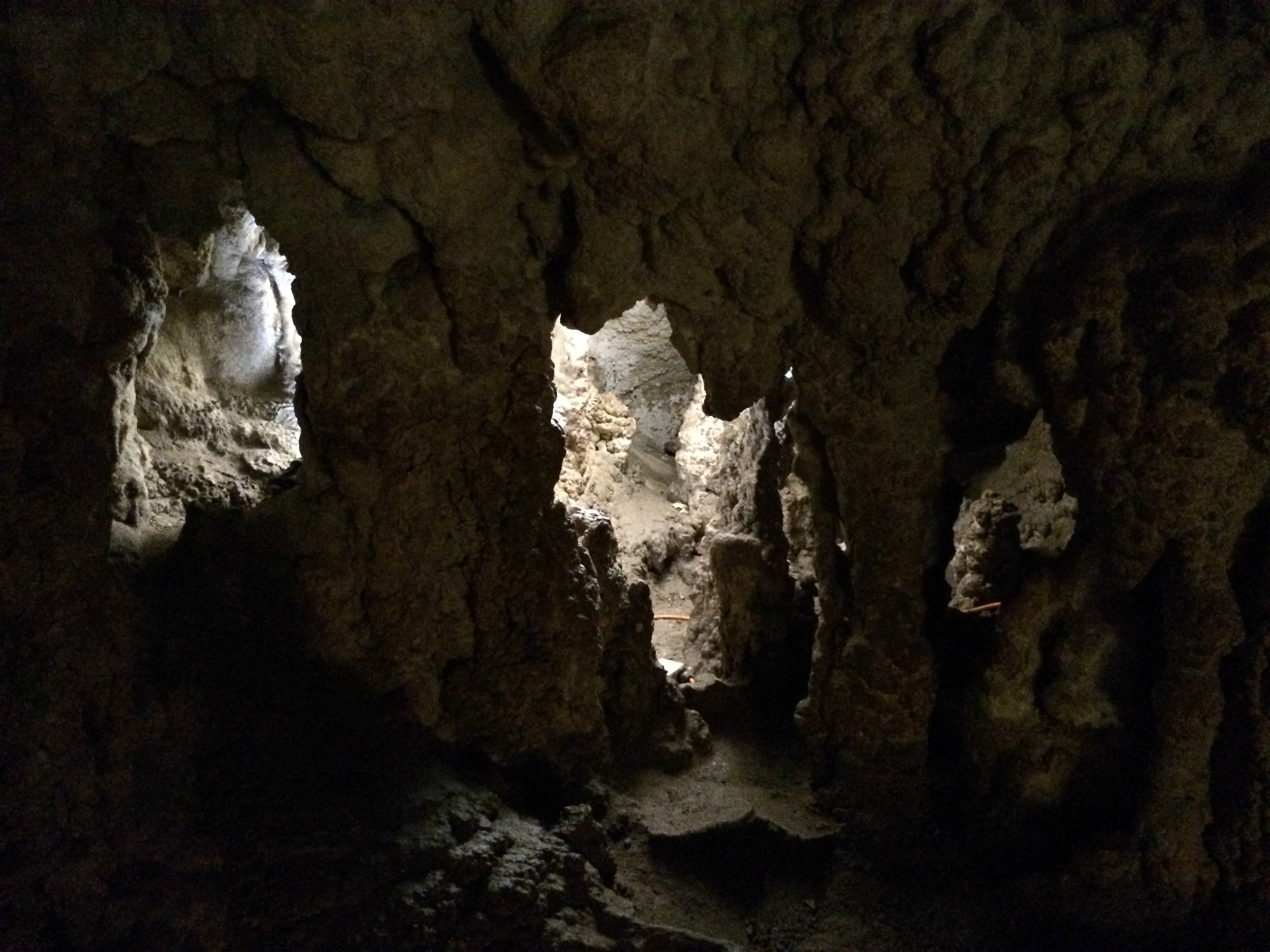 Naracoorte Cave Australia photo 4