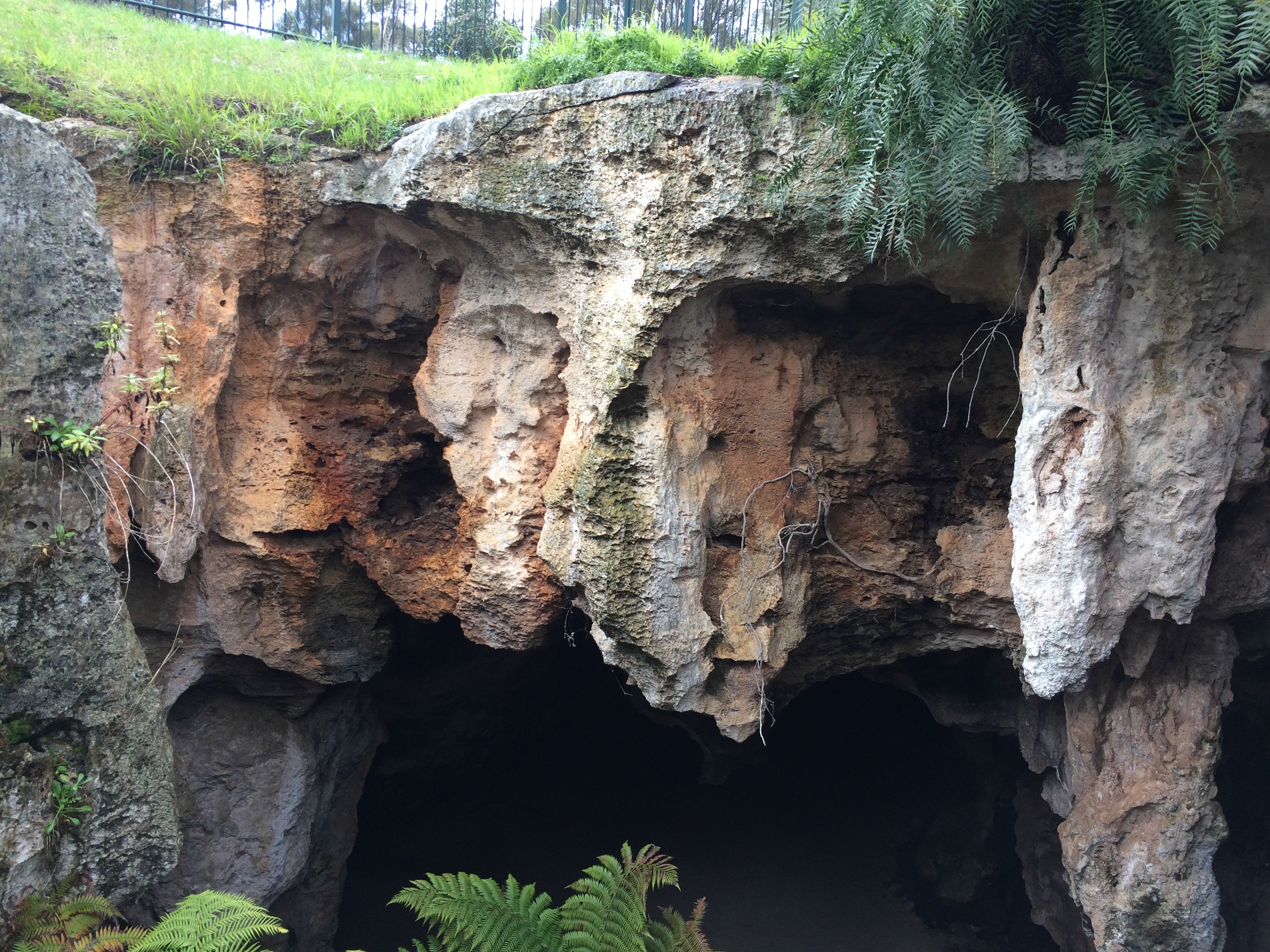 Naracoorte Cave Australia photo 5