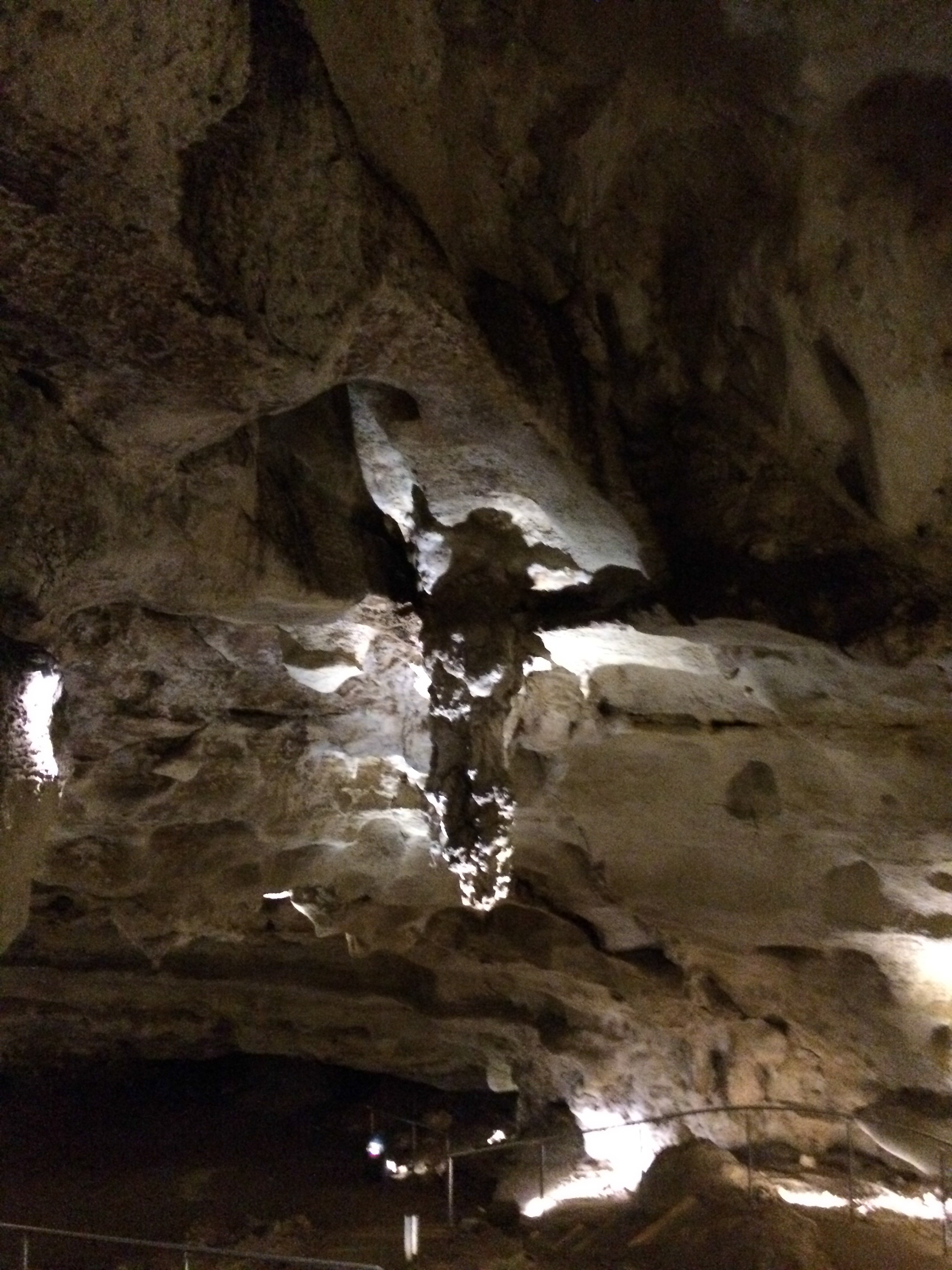 Naracoorte Cave Australia photo 6