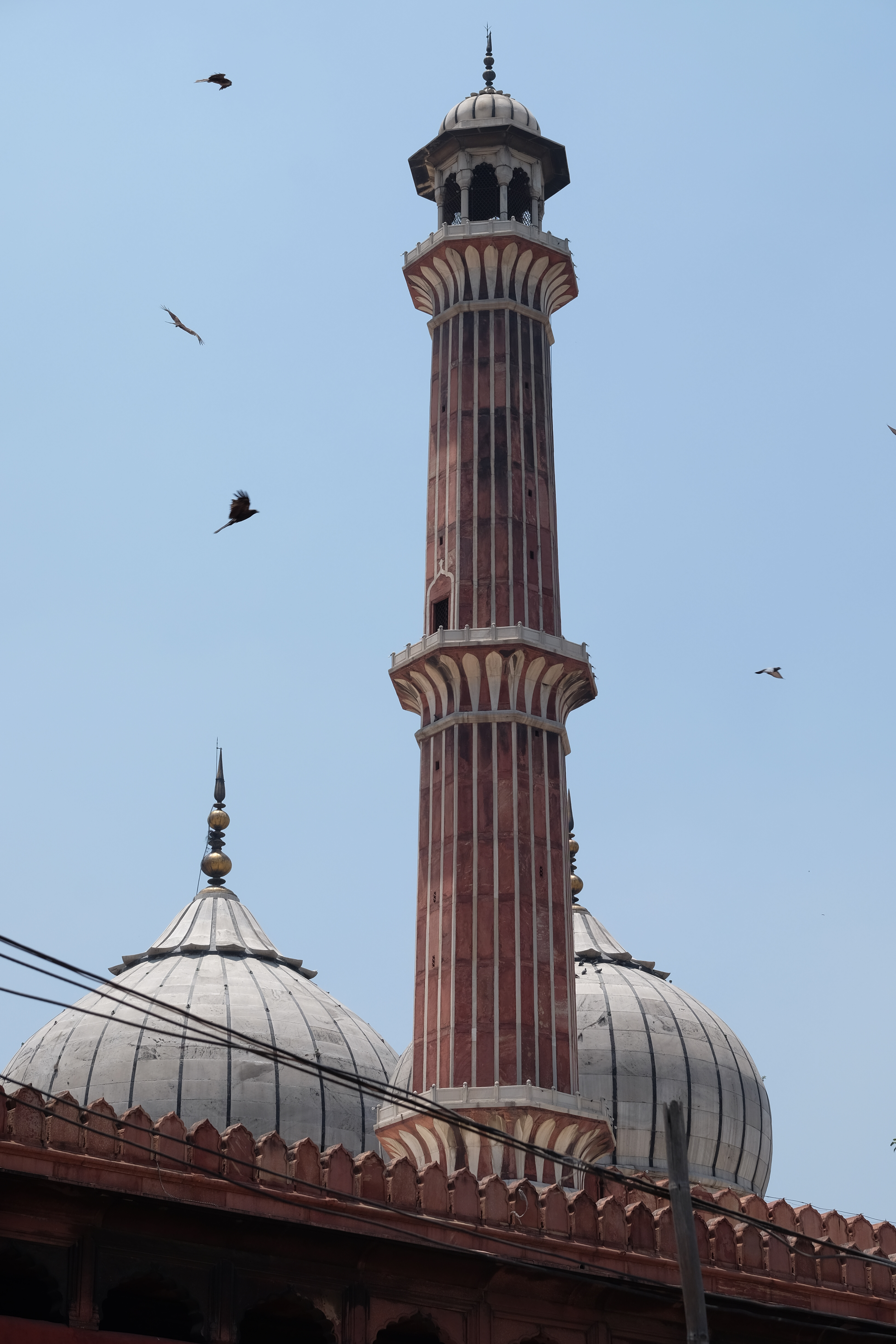 New Delhi India photo 9