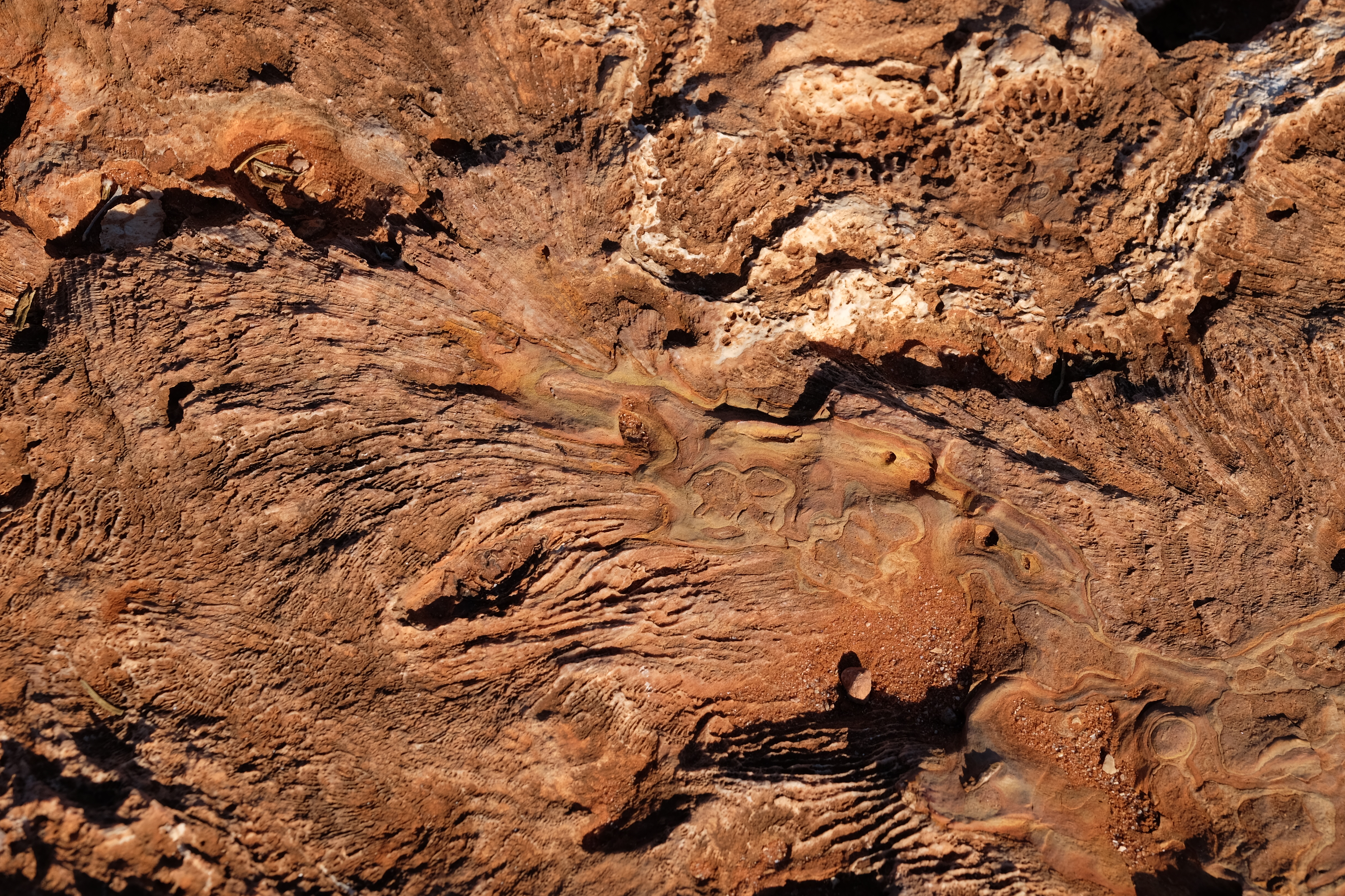 Ningaloo Reef Australia photo 2