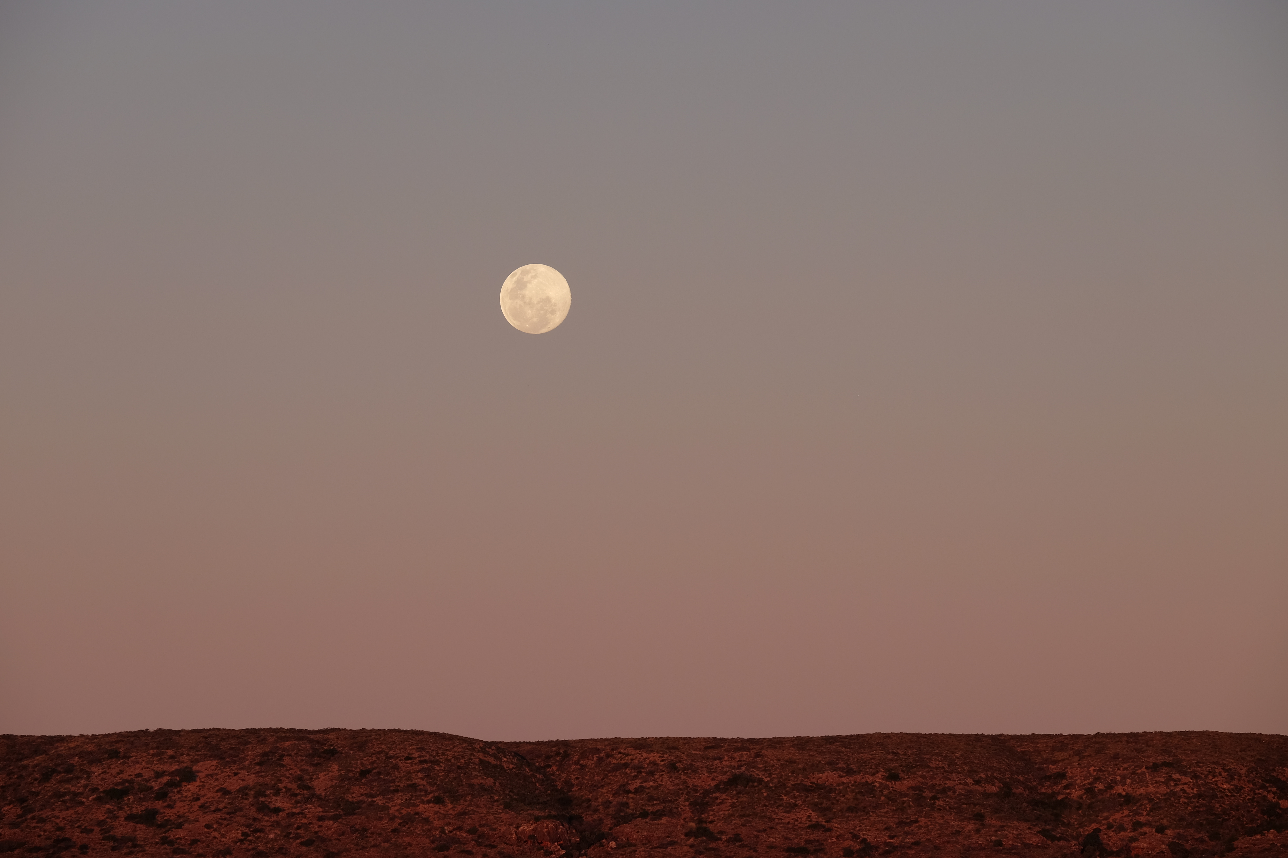 Ningaloo Reef Australia photo 5