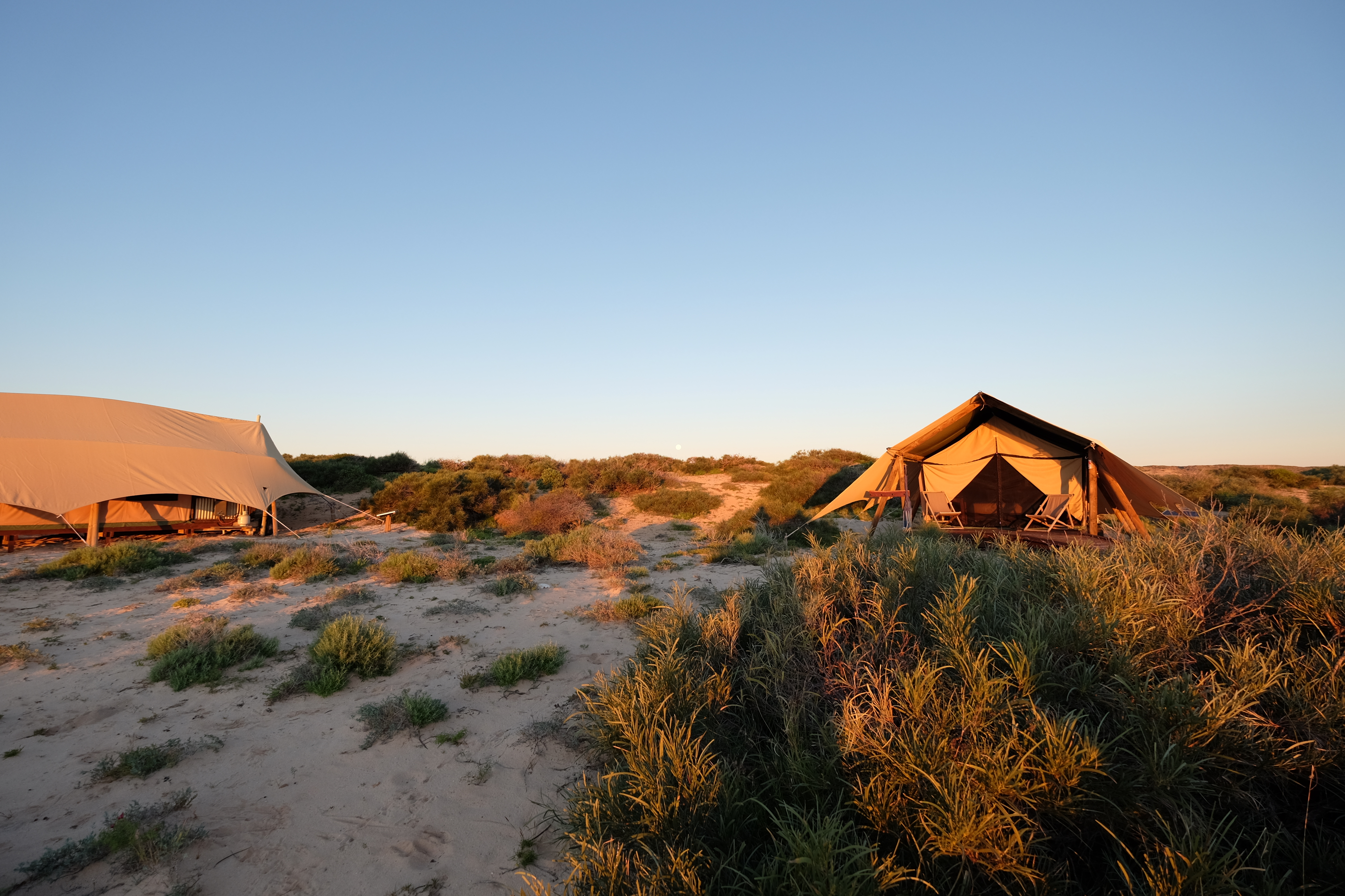 Ningaloo Reef Australia photo 8