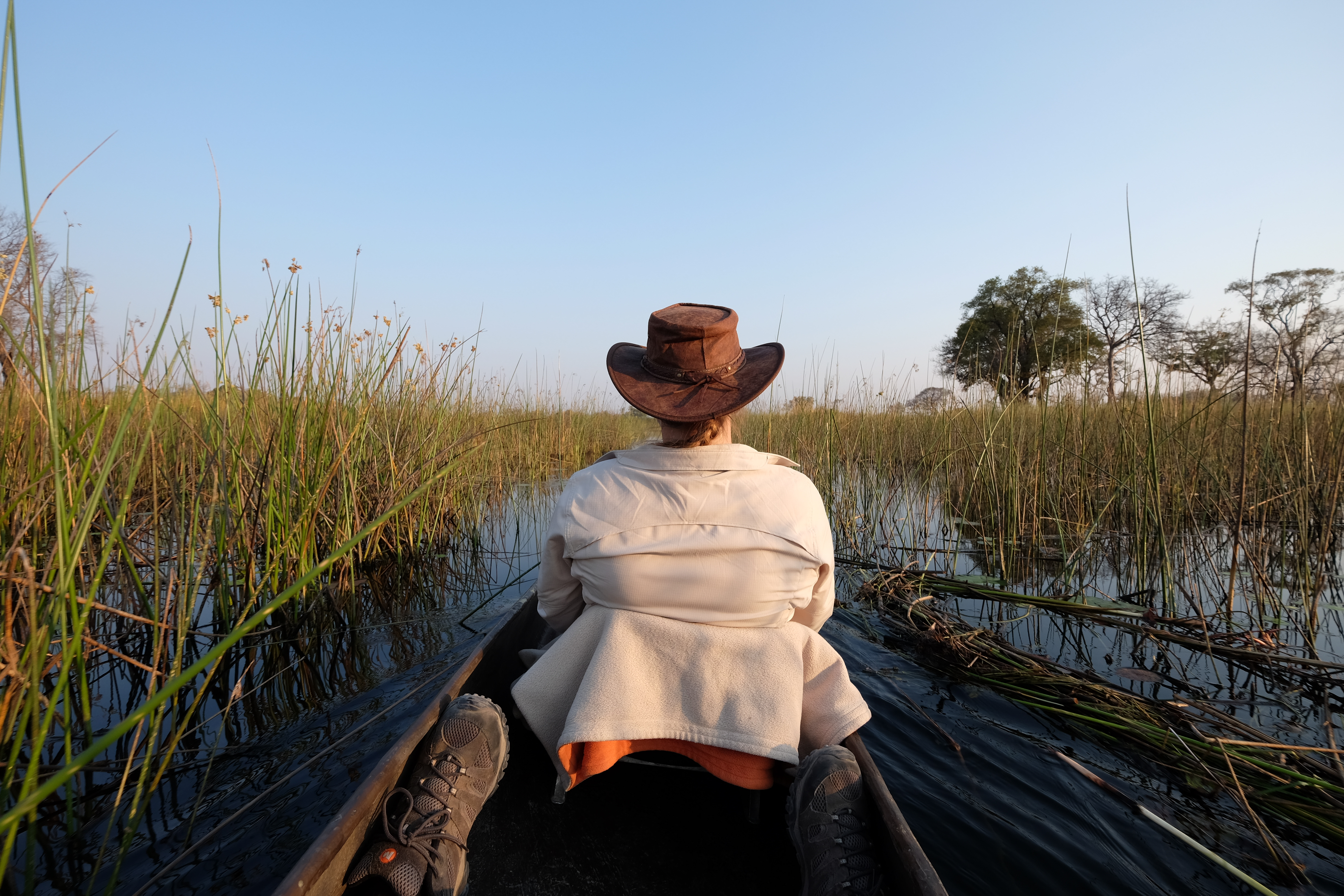 Okavango Delta Botswana photo 1