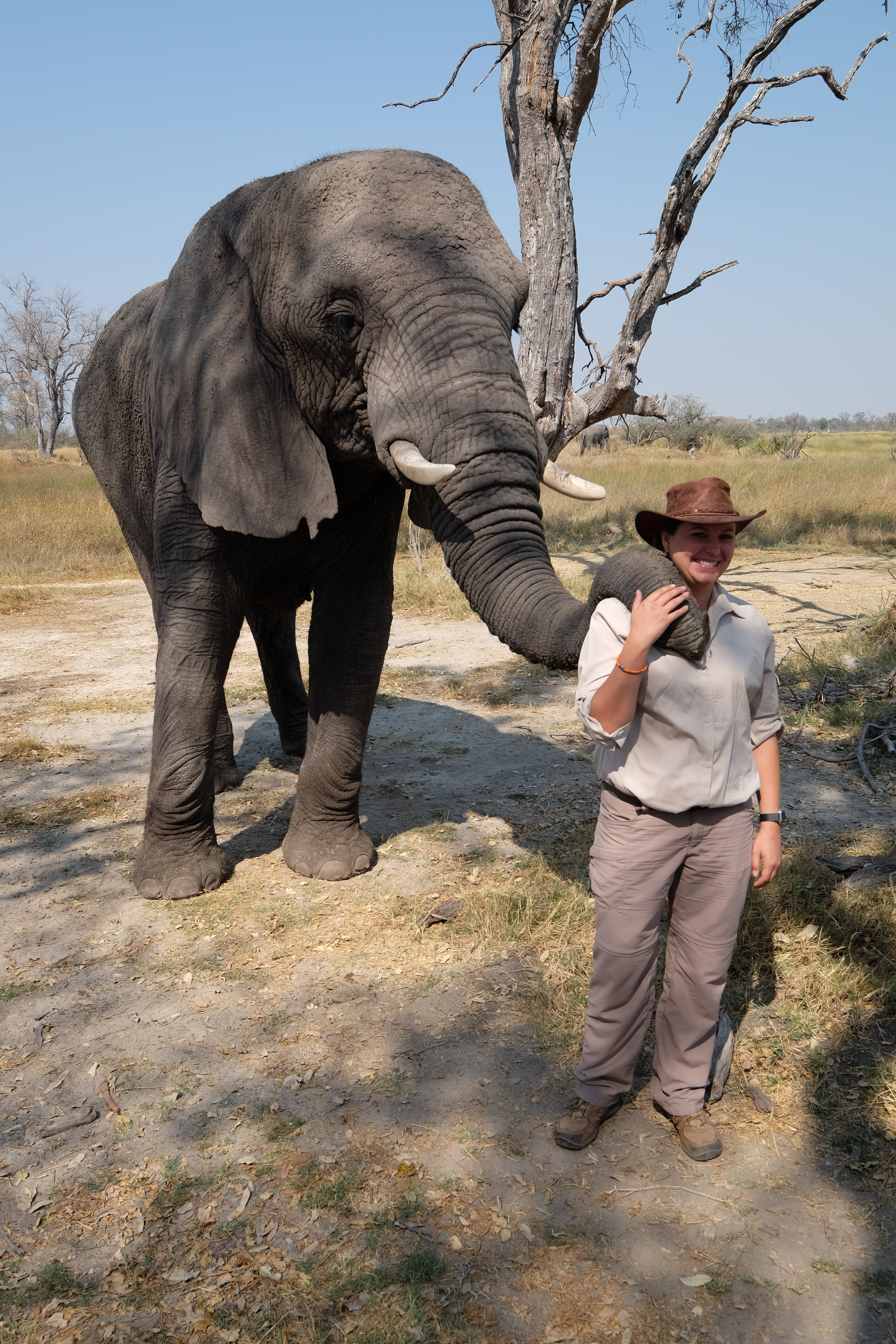 Okavango Delta Botswana photo 5