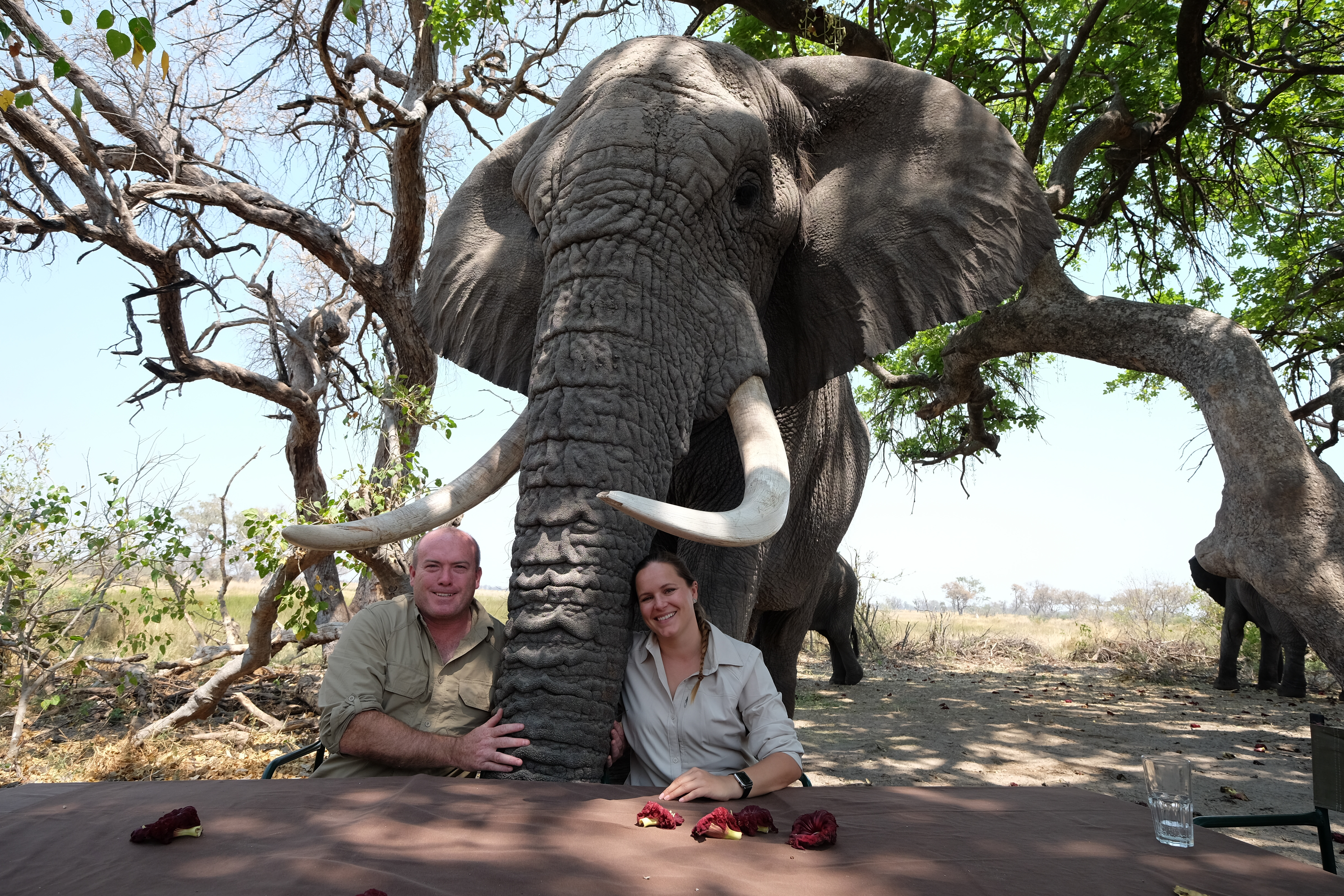Okavango Delta Botswana photo 7