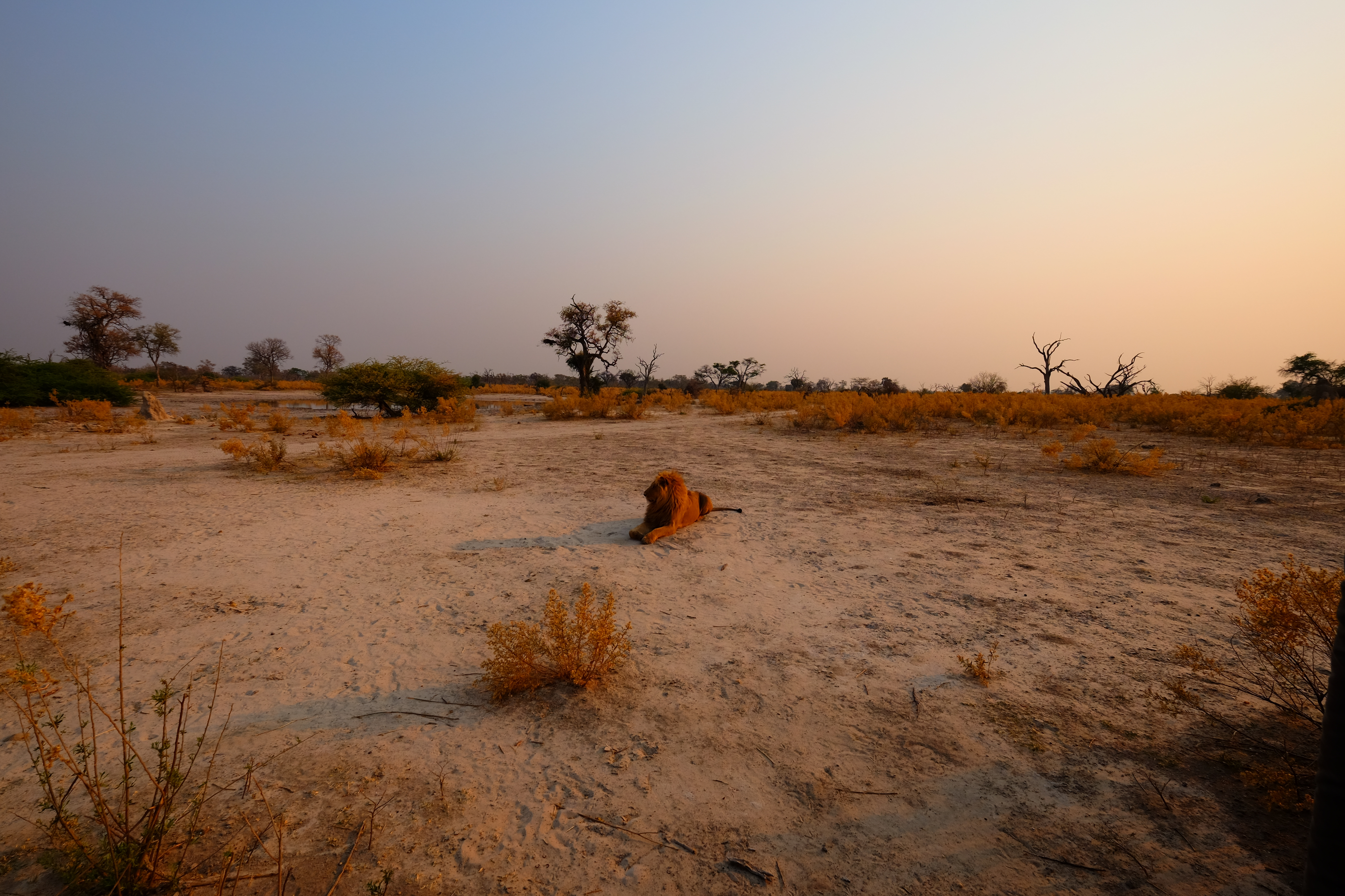 Okavango Delta Botswana photo 10