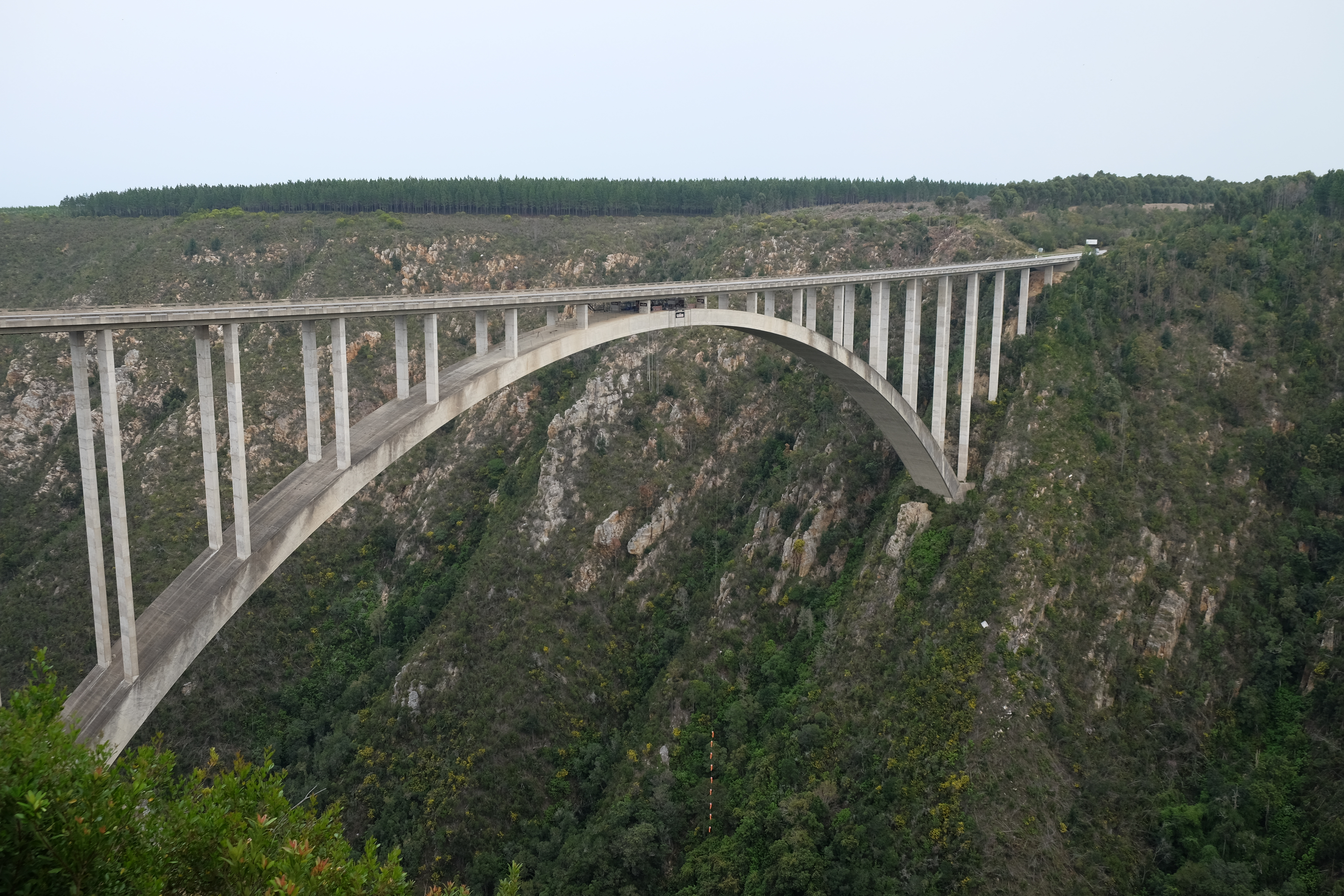 Plettenberg Bay South Africa photo 2