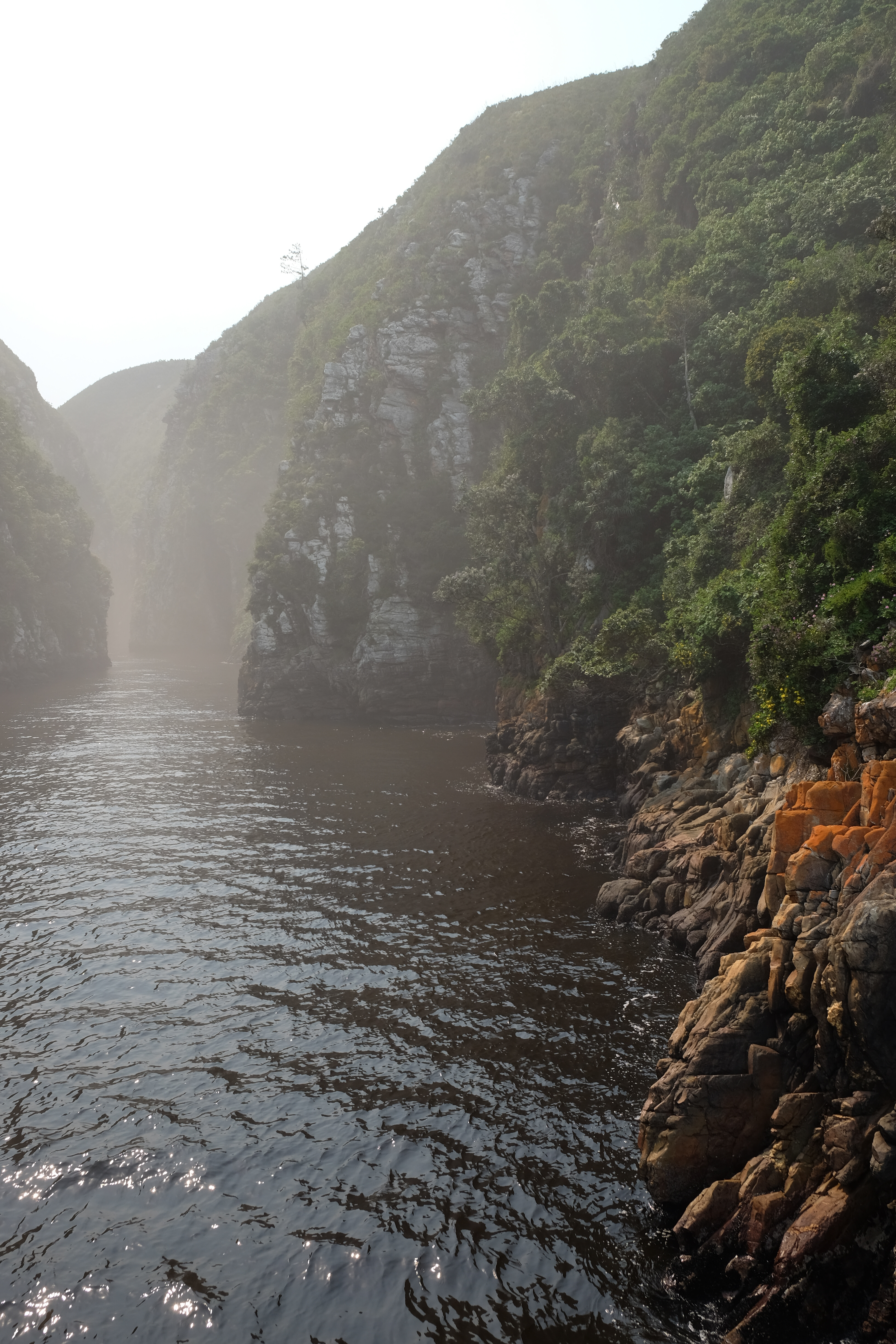 Plettenberg Bay South Africa photo 4