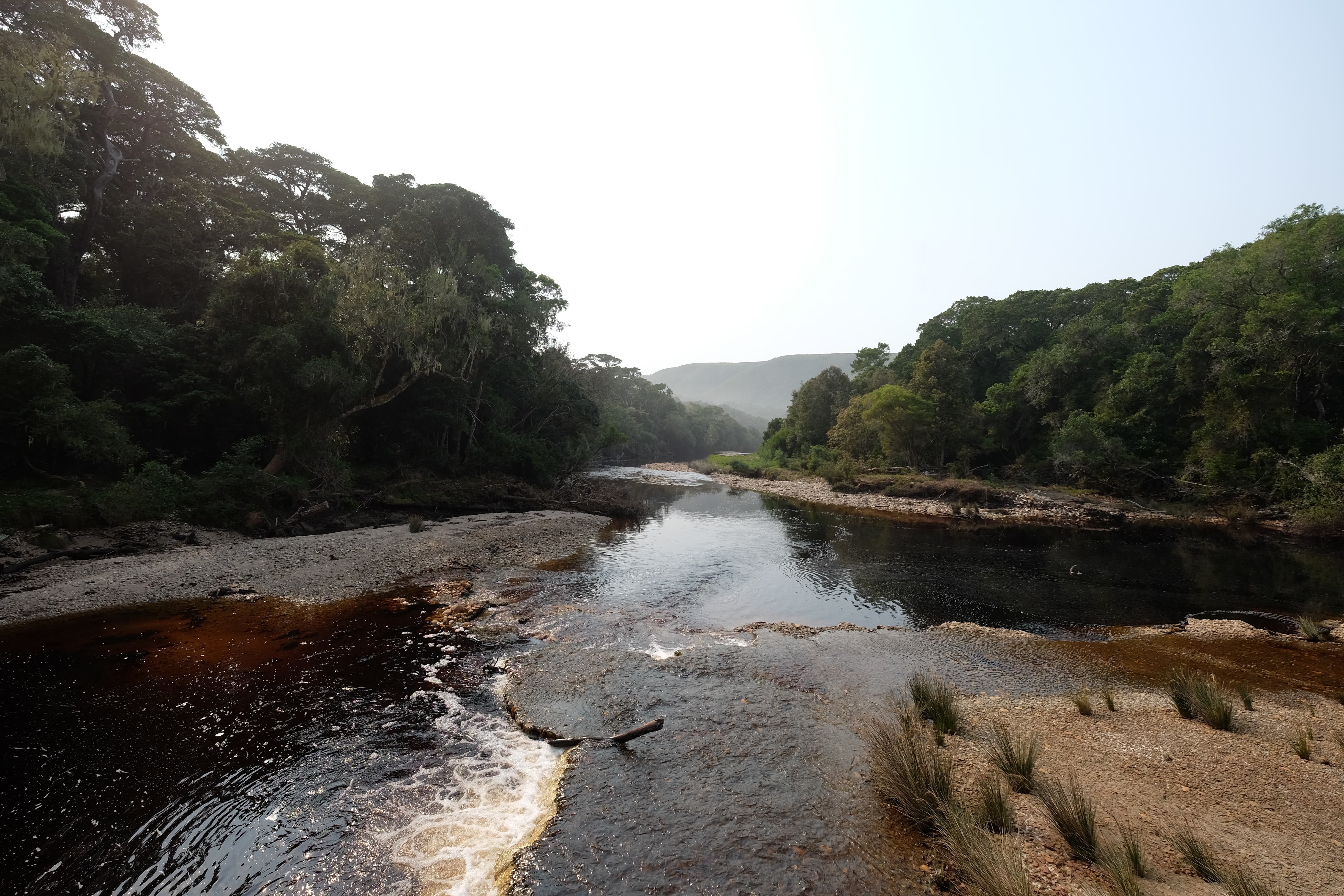 Plettenberg Bay South Africa photo 6