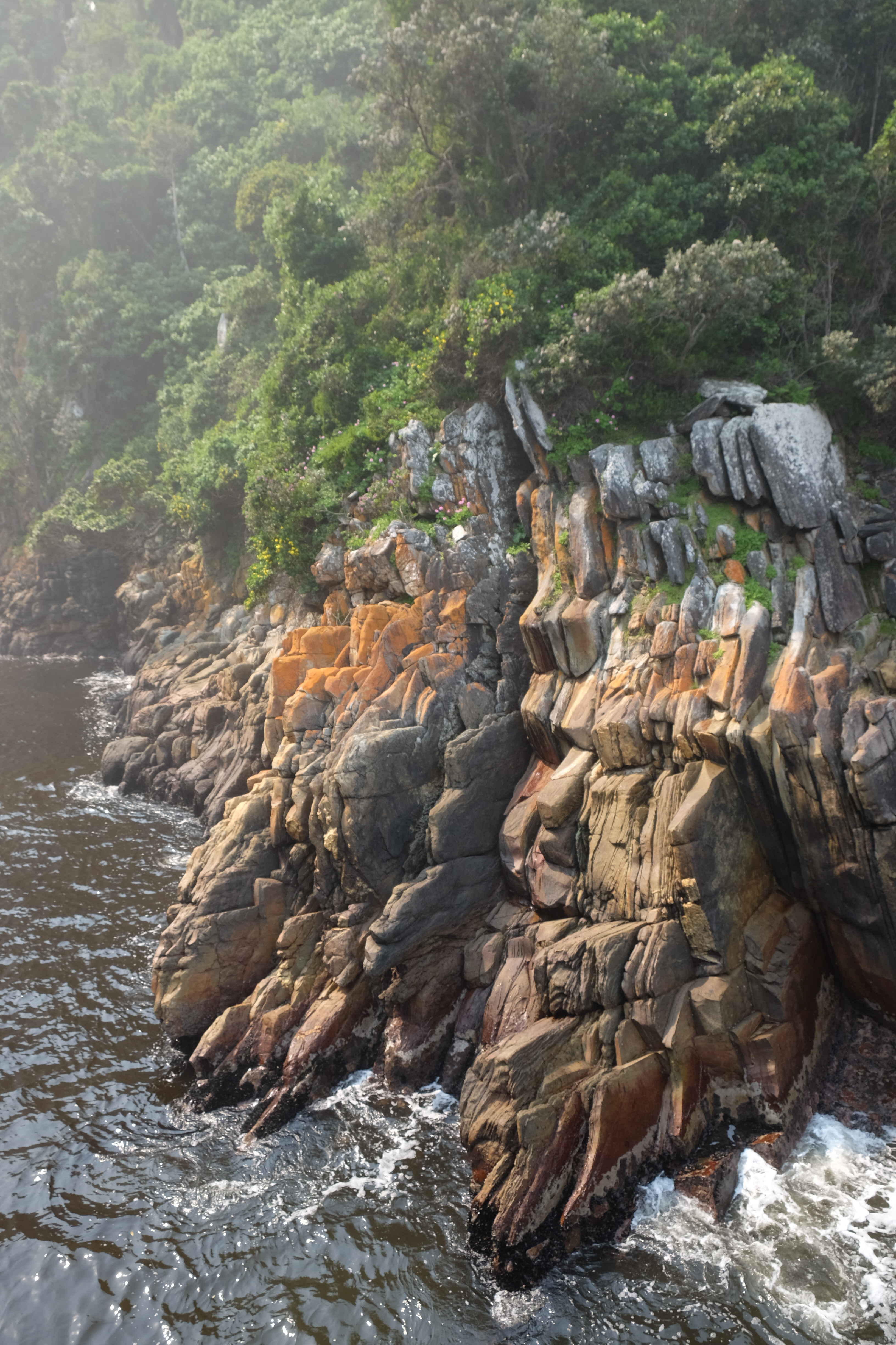 Plettenberg Bay South Africa photo 7