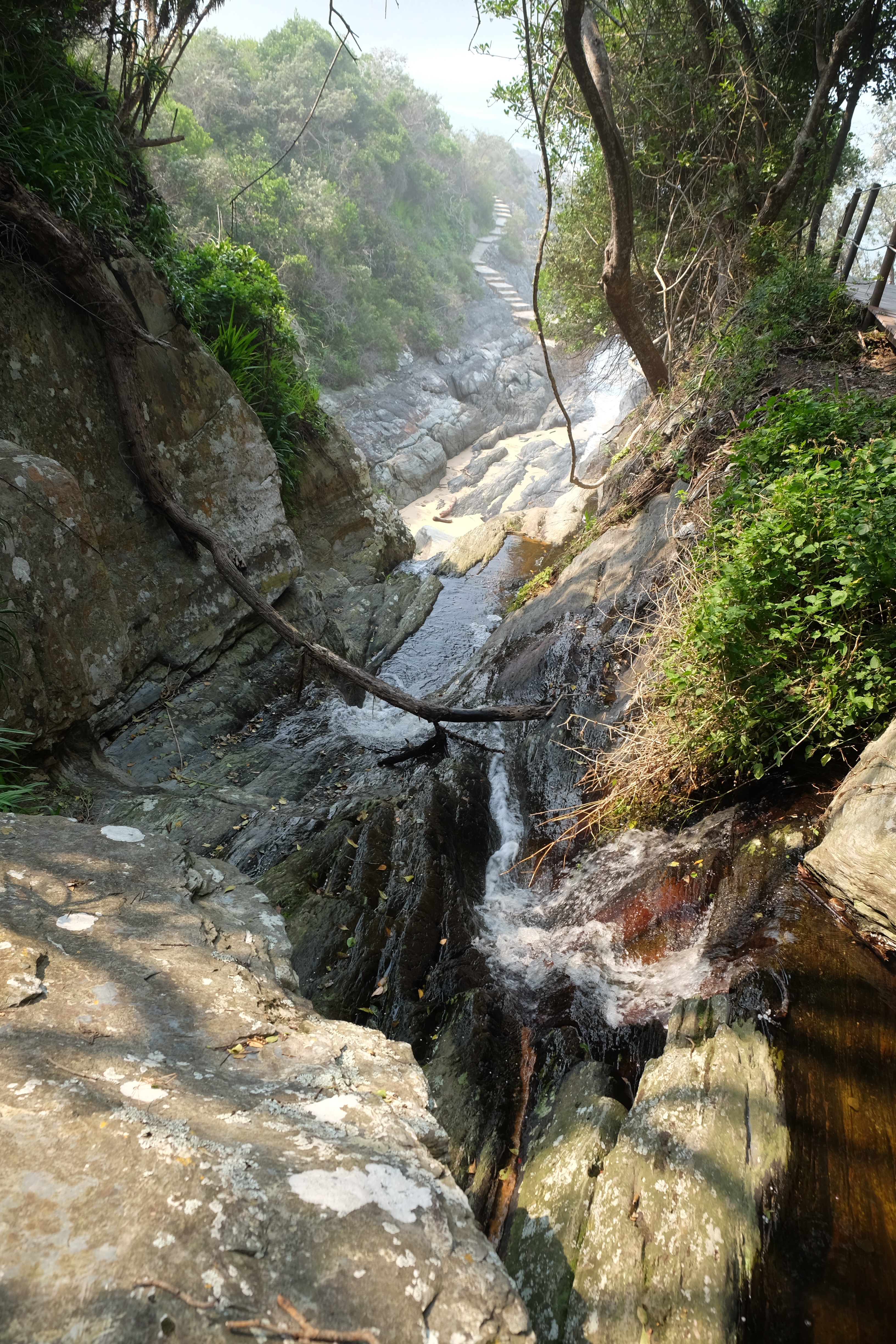 Plettenberg Bay South Africa photo 9