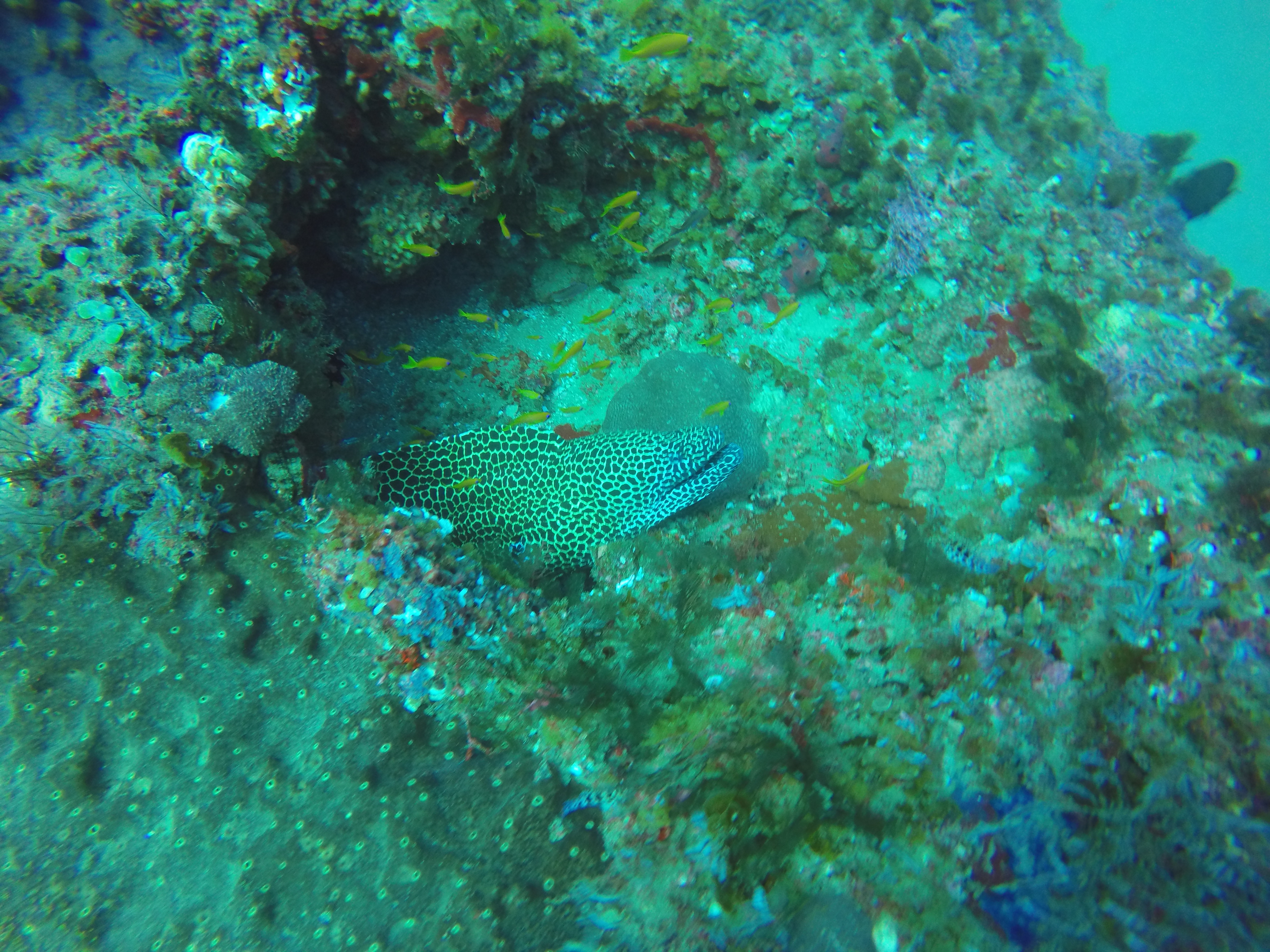 Ponta Mamoli Mozambique photo 3