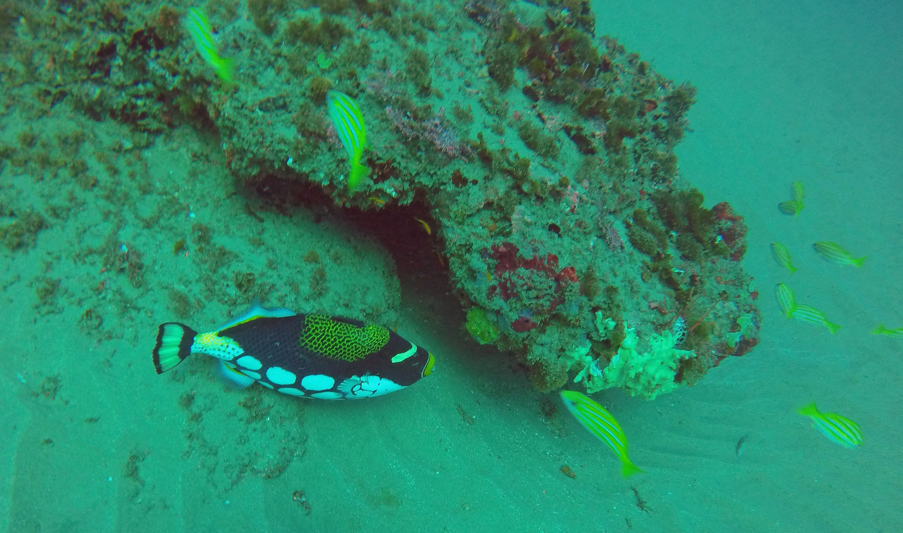 Ponta Mamoli Mozambique photo 4