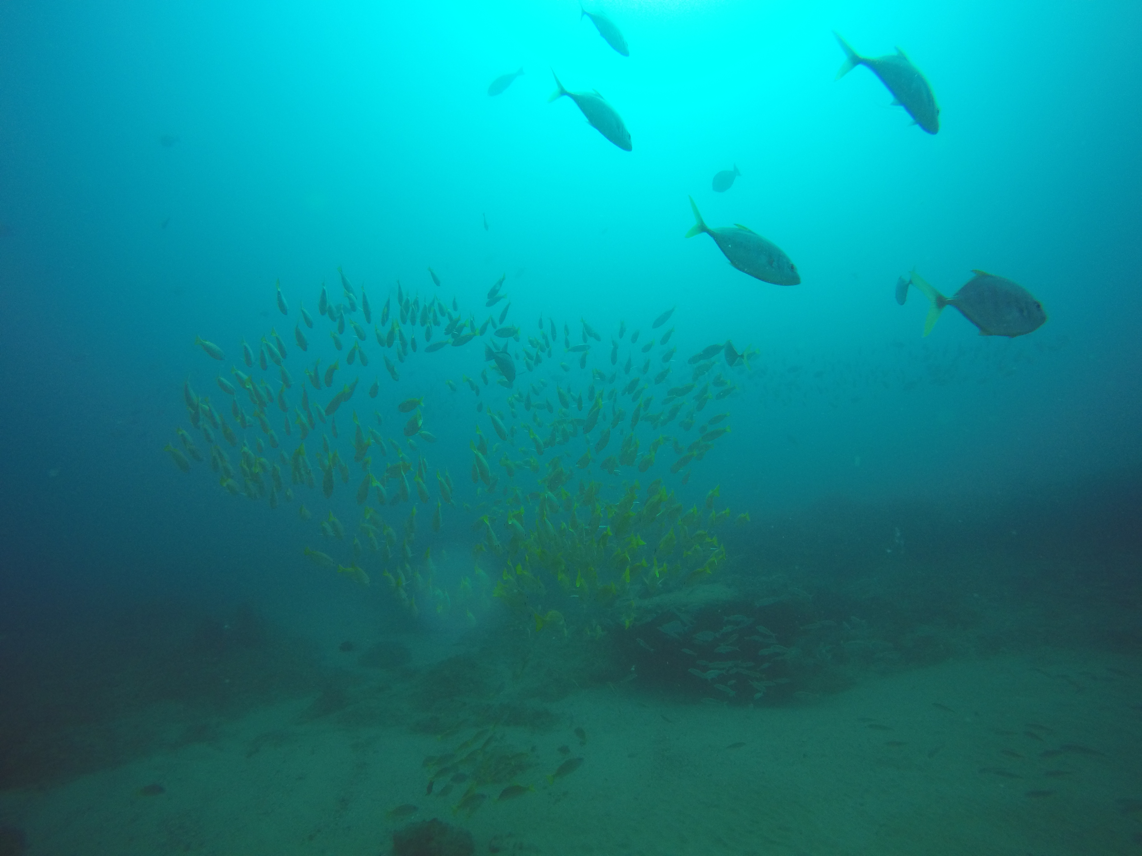 Ponta Mamoli Mozambique photo 5