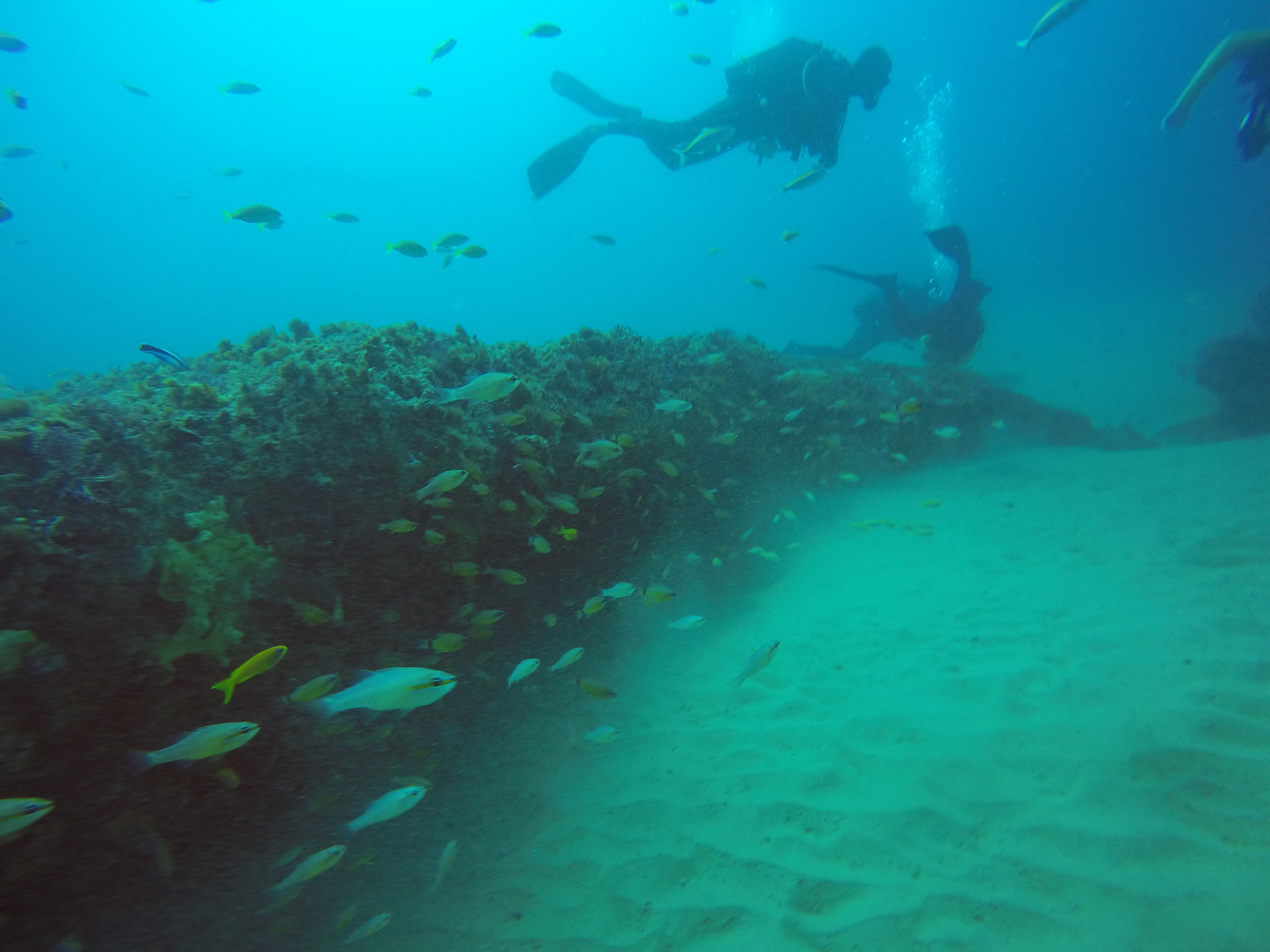 Ponta Mamoli Mozambique photo 10