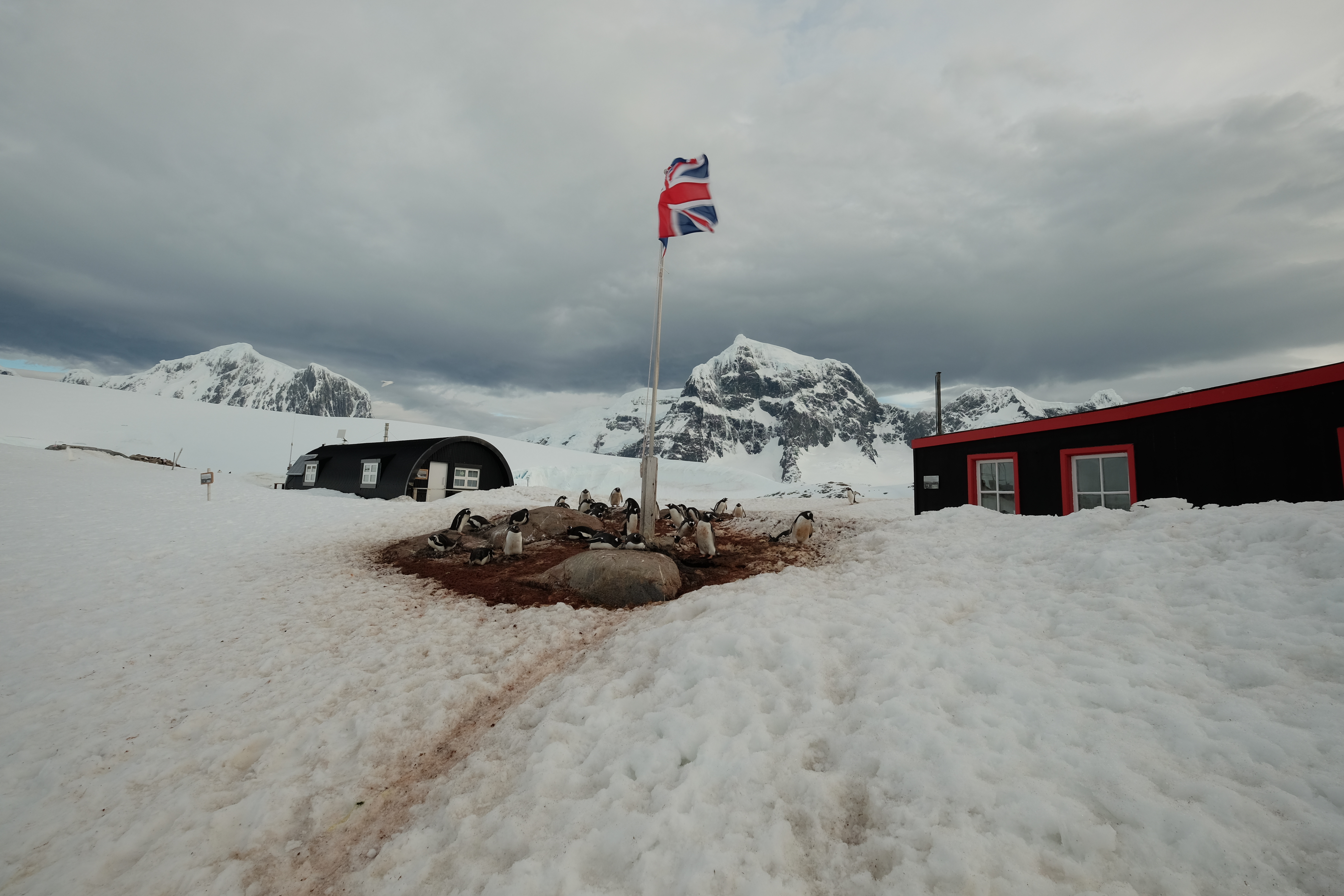 Port Lockroy Antarctica photo 2