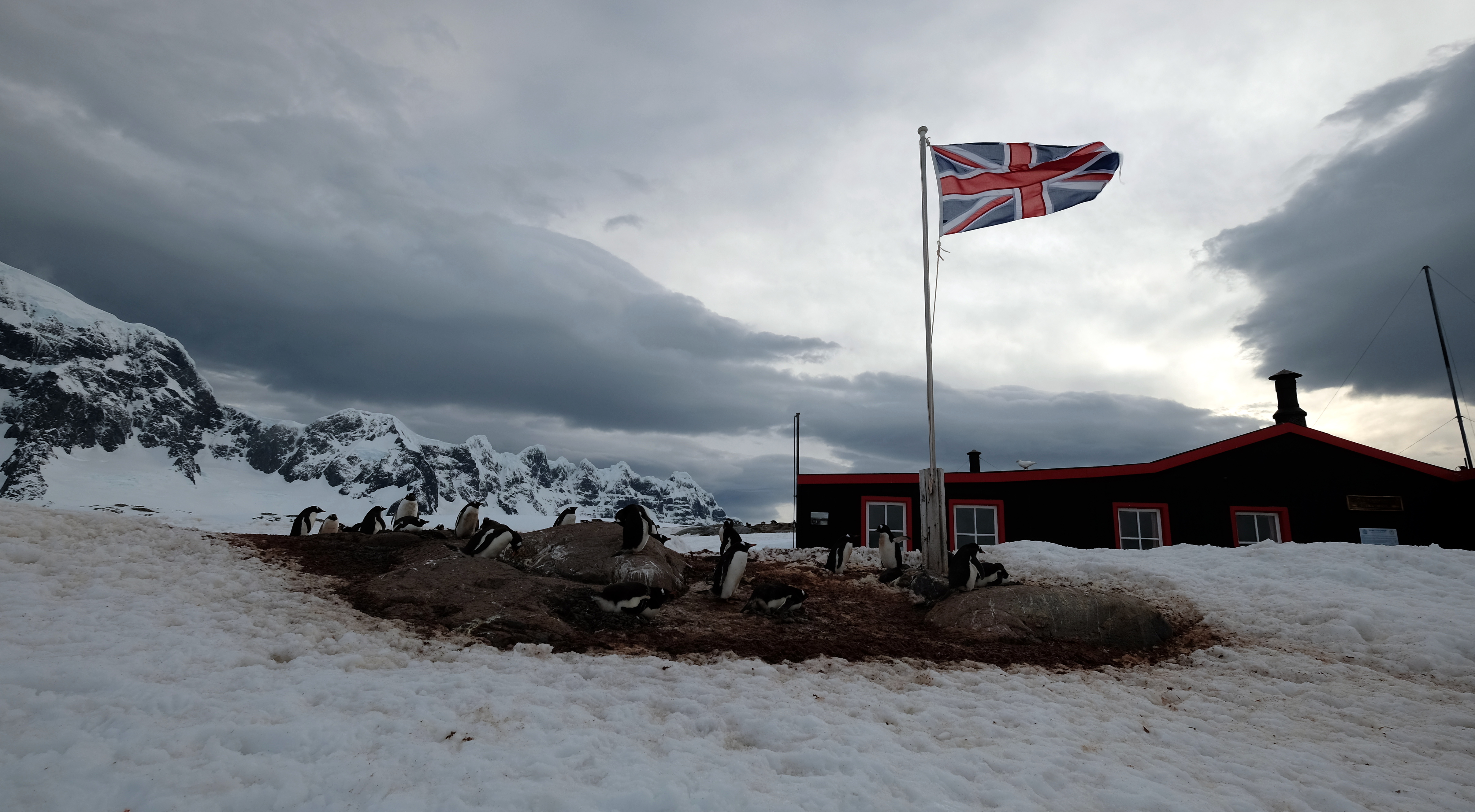 Port Lockroy Antarctica photo 3