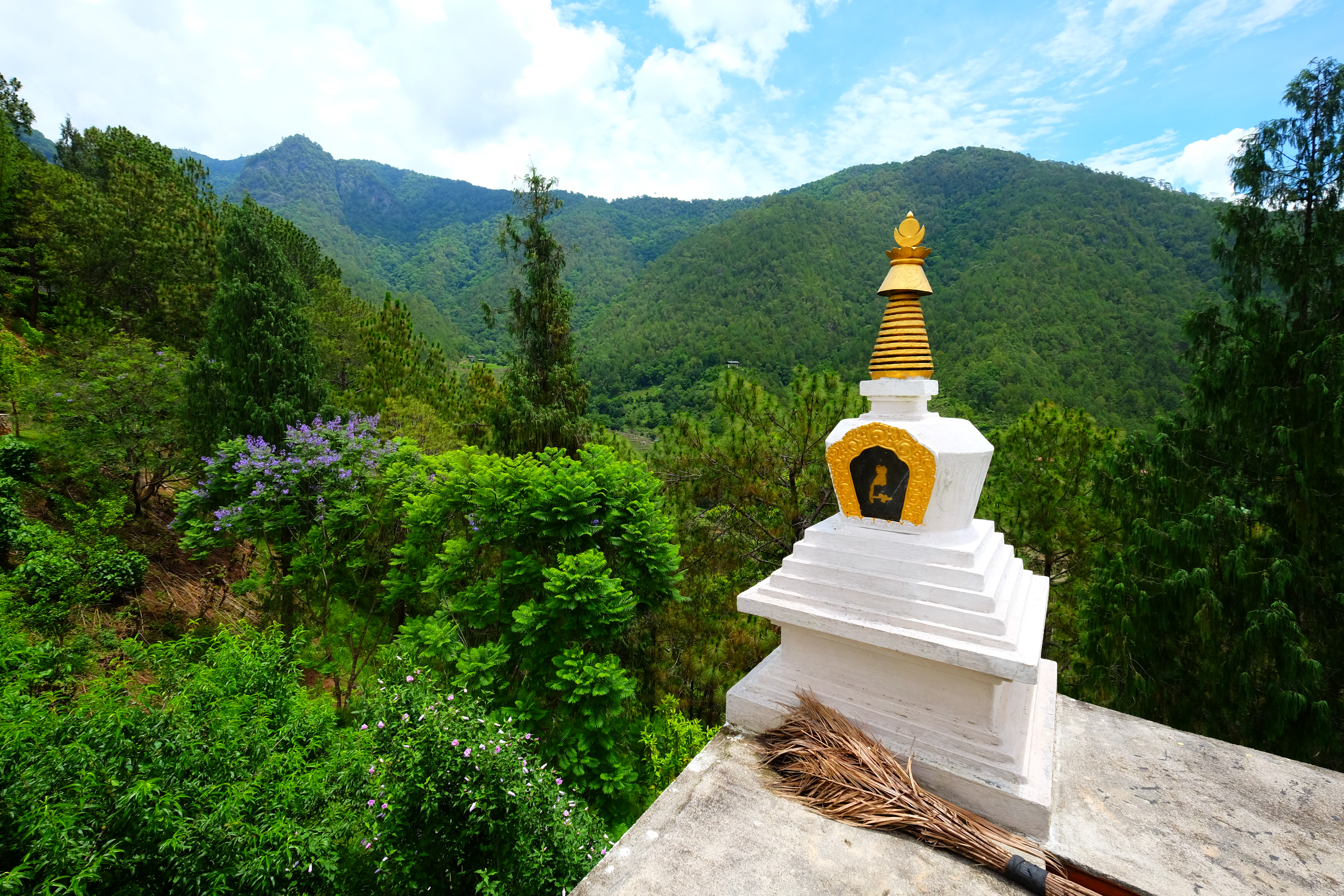 Punakha Bhutan photo 5