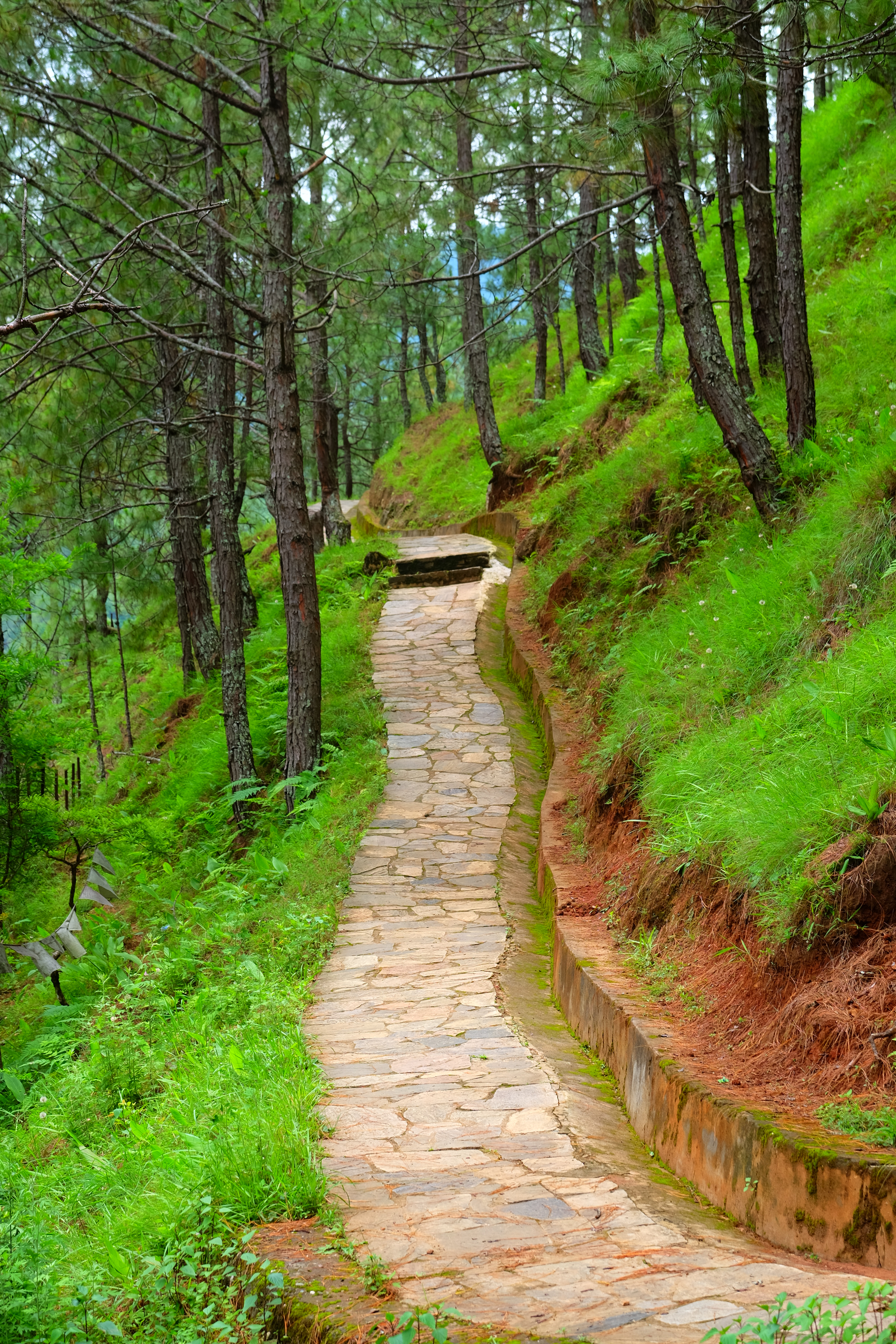 Punakha Bhutan photo 6