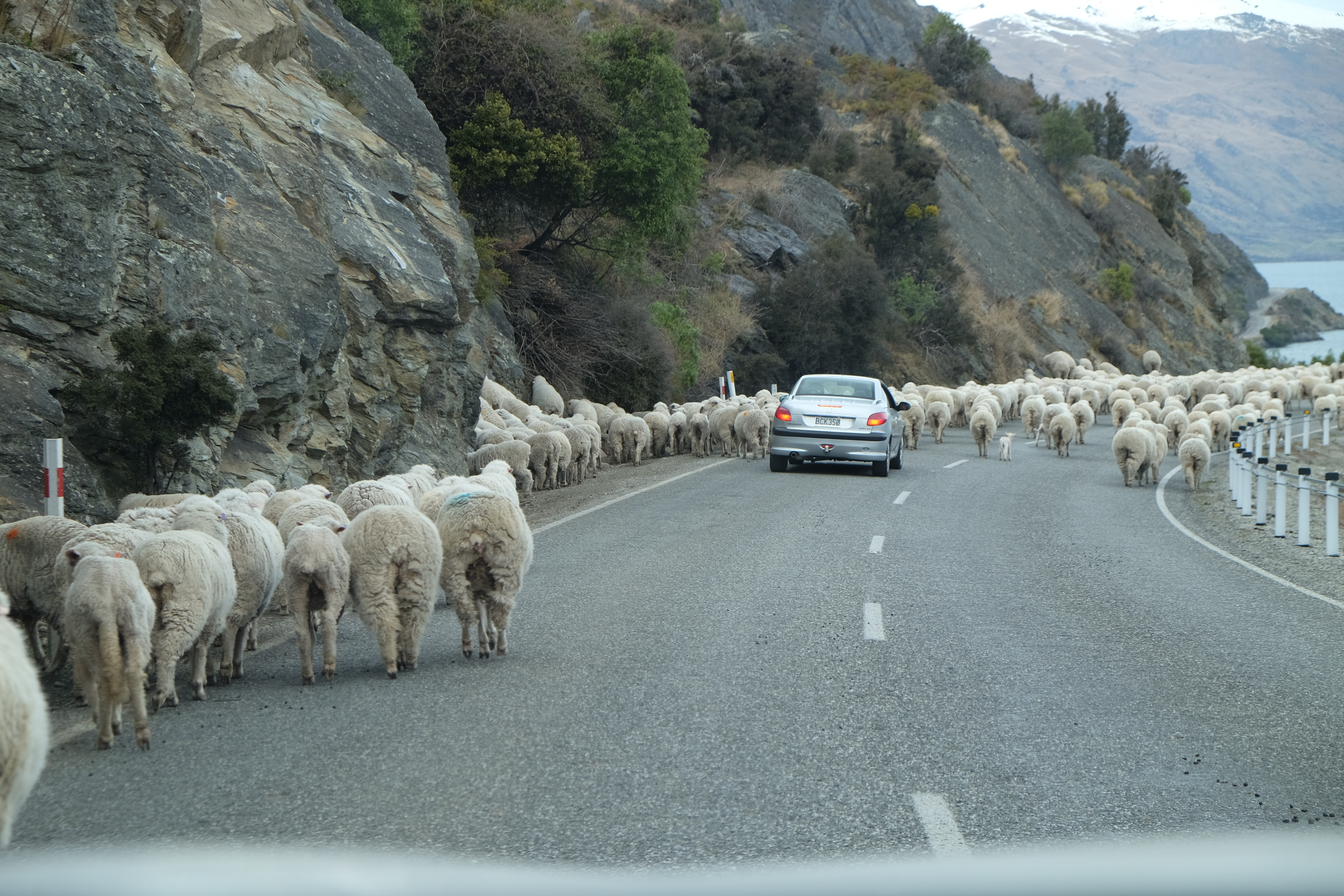 Queenstown New Zealand photo 3