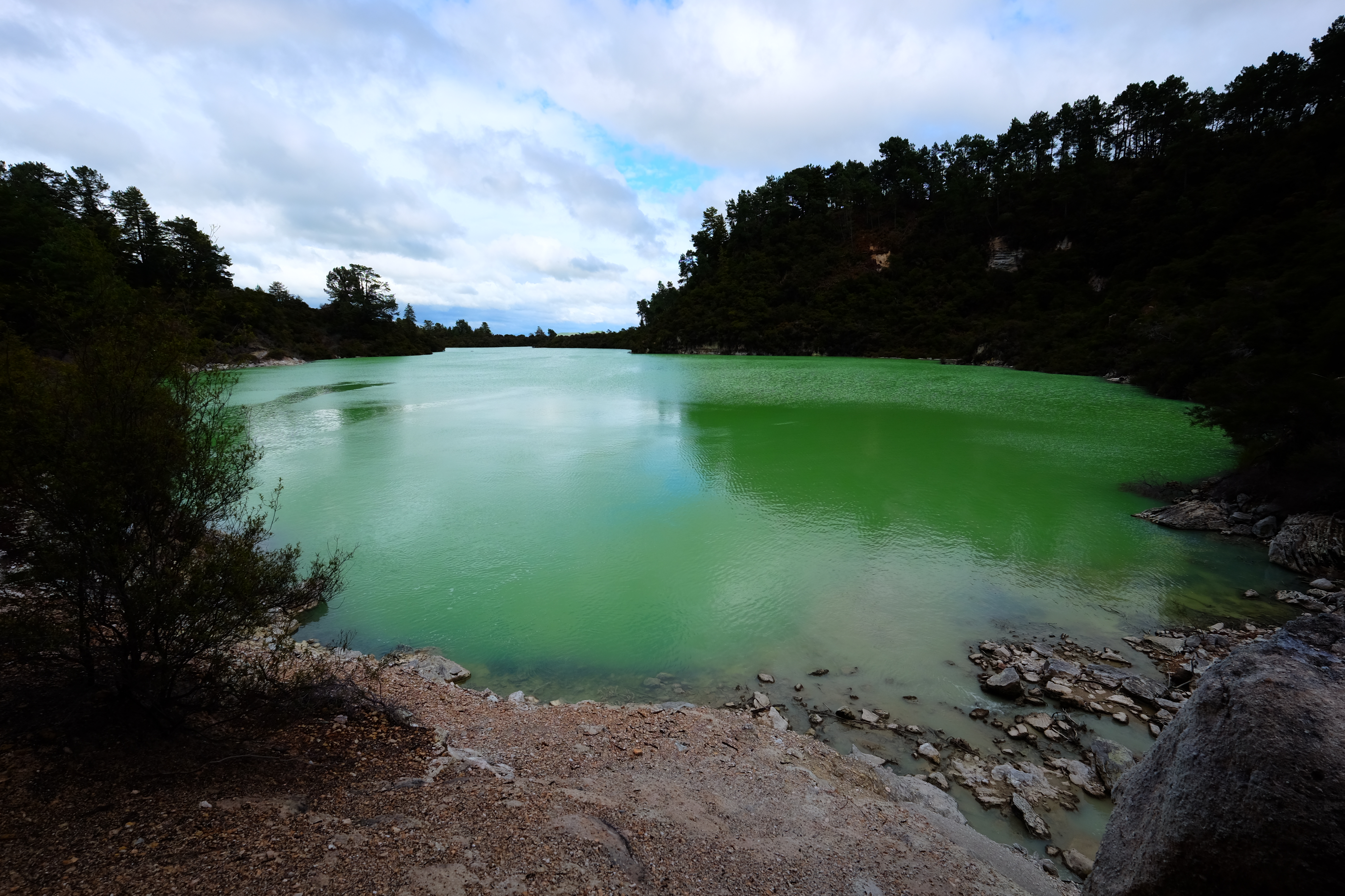 Rotorua New Zealand photo 3