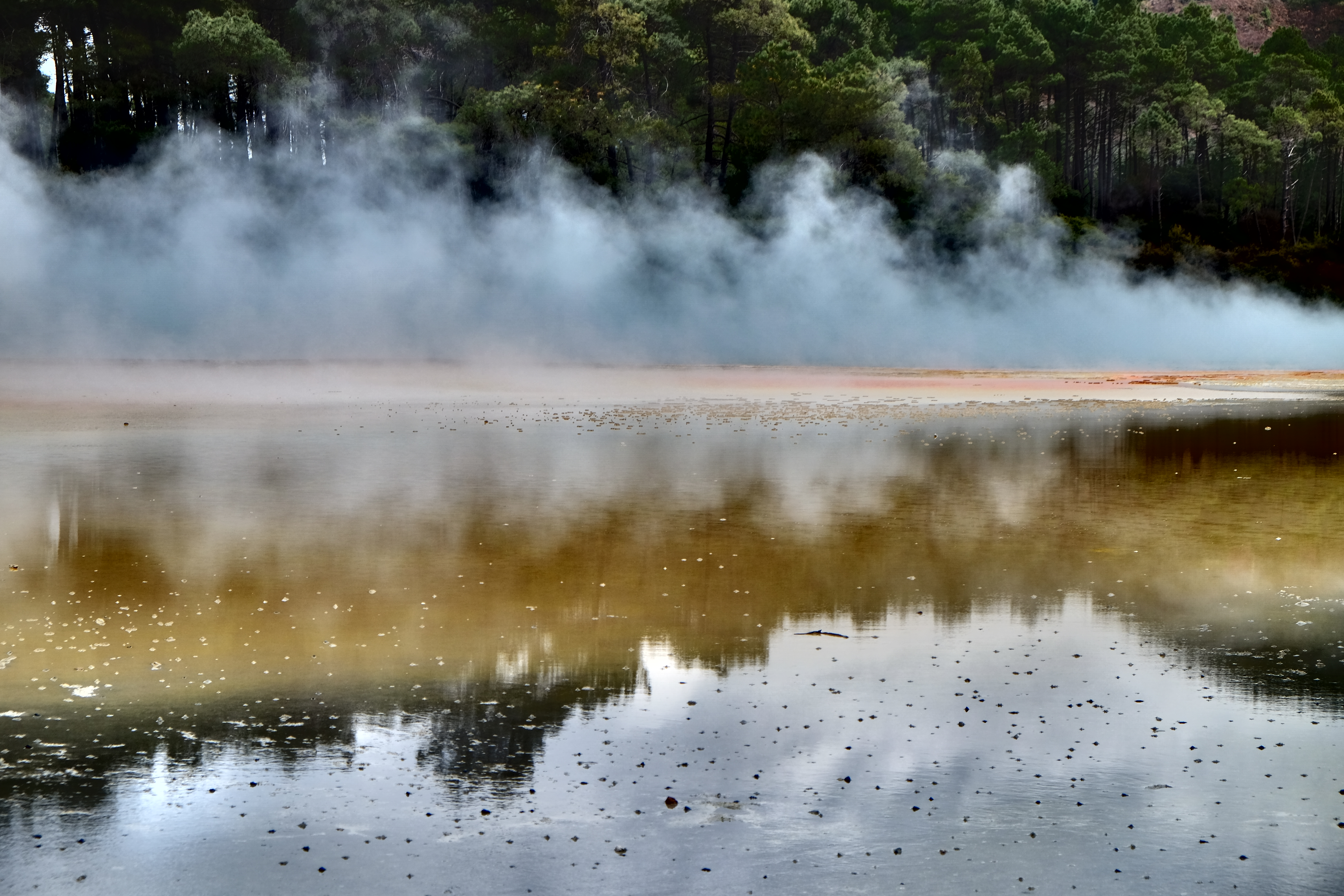 Rotorua New Zealand photo 4