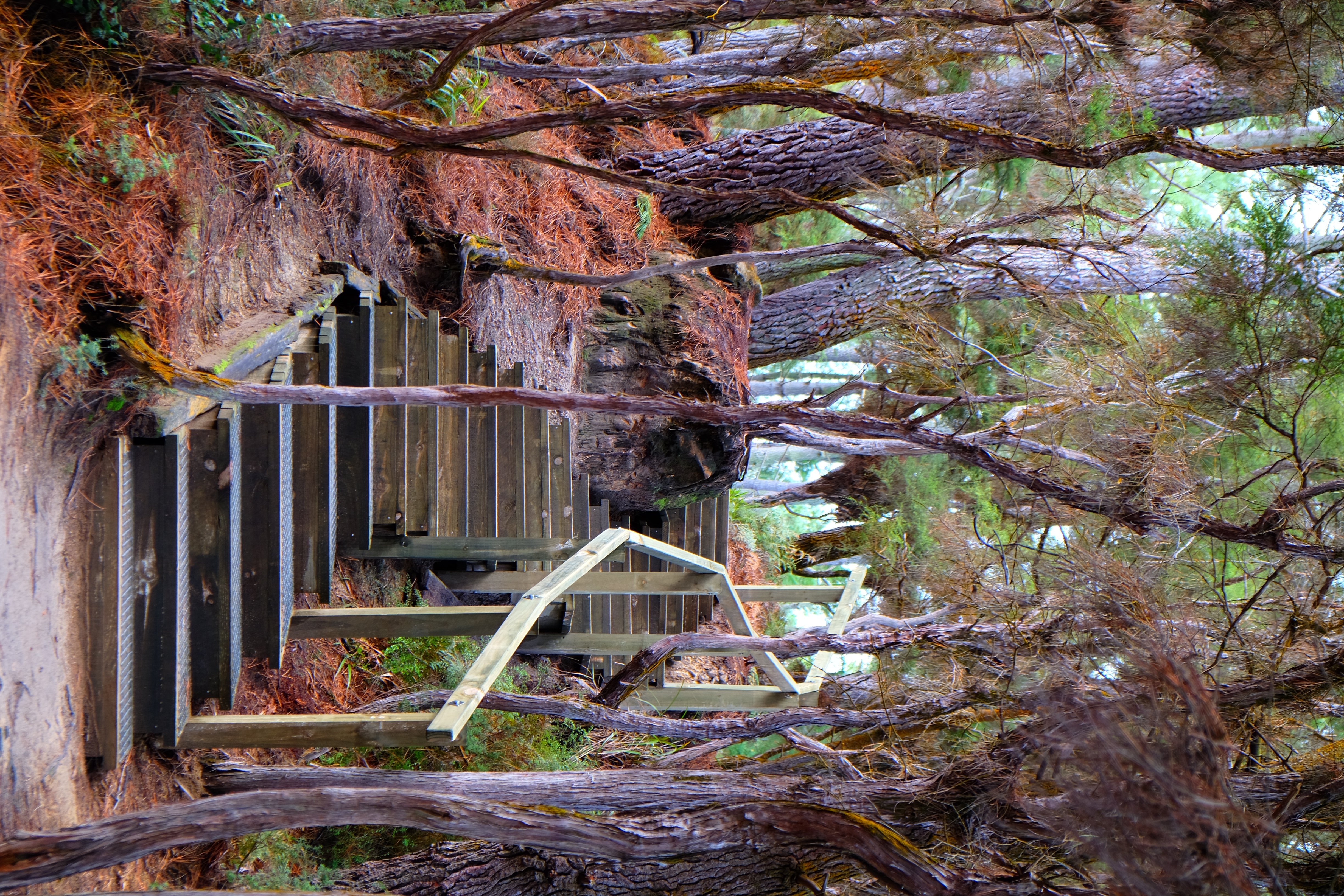 Rotorua New Zealand photo 5