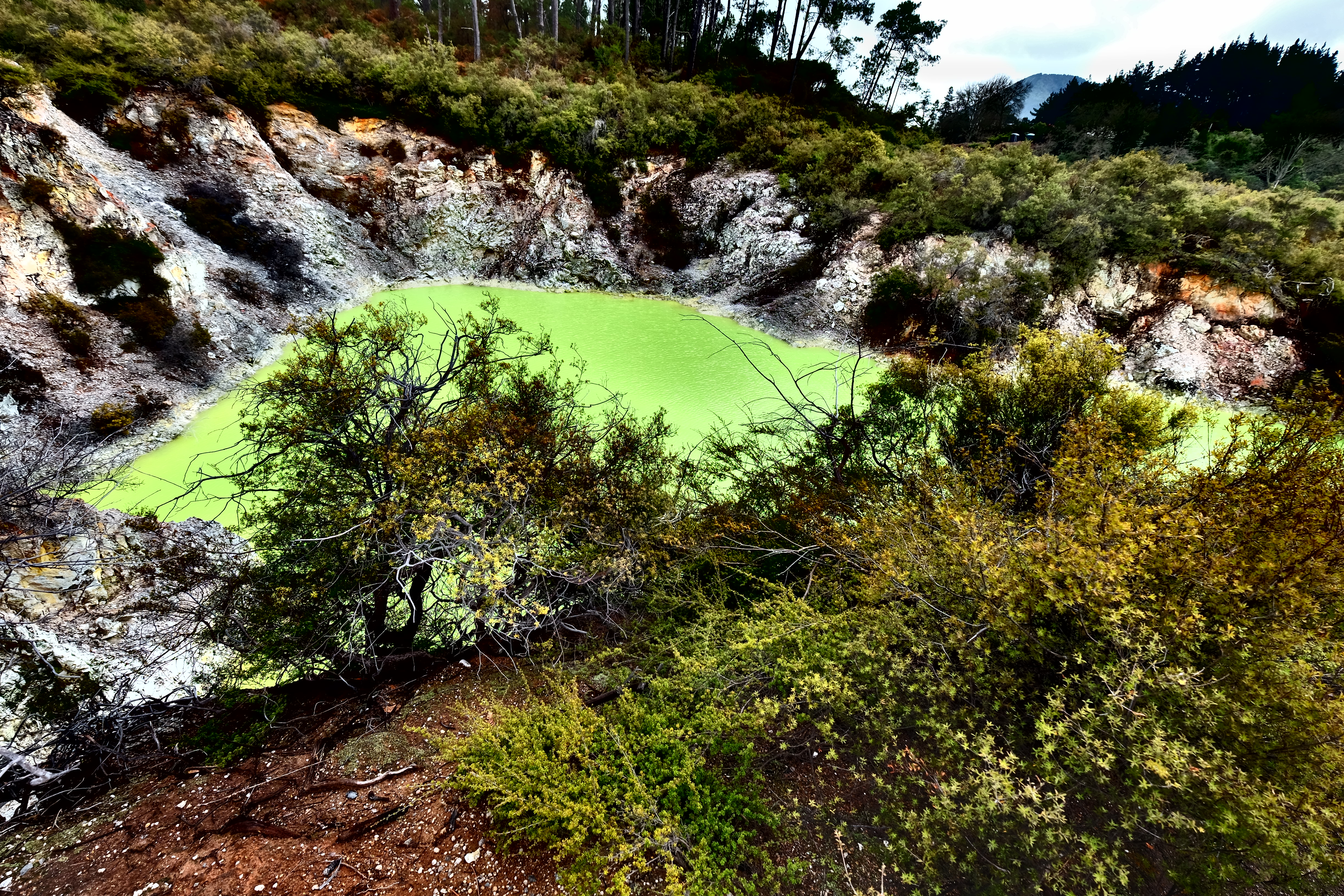 Rotorua New Zealand photo 6