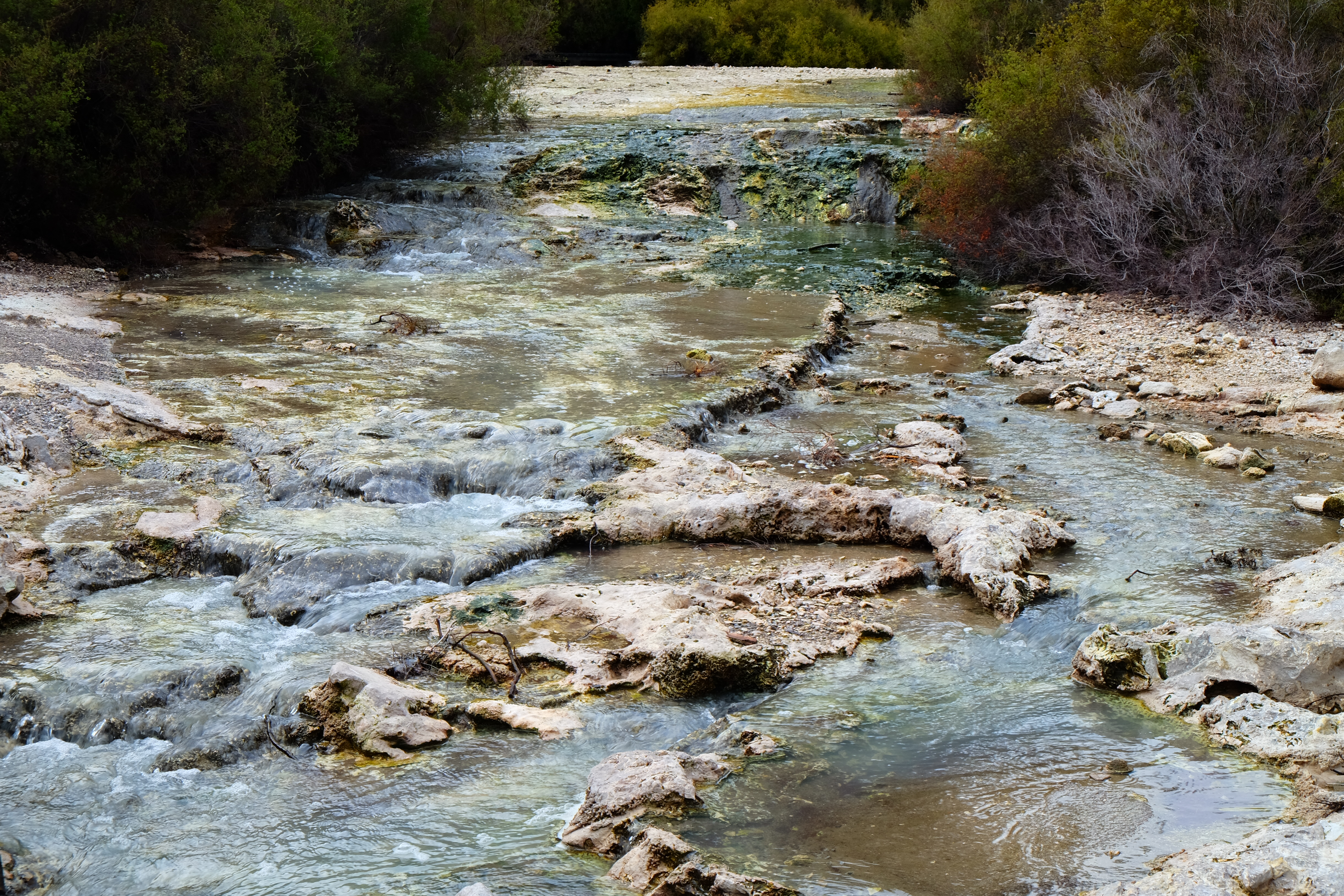 Rotorua New Zealand photo 10