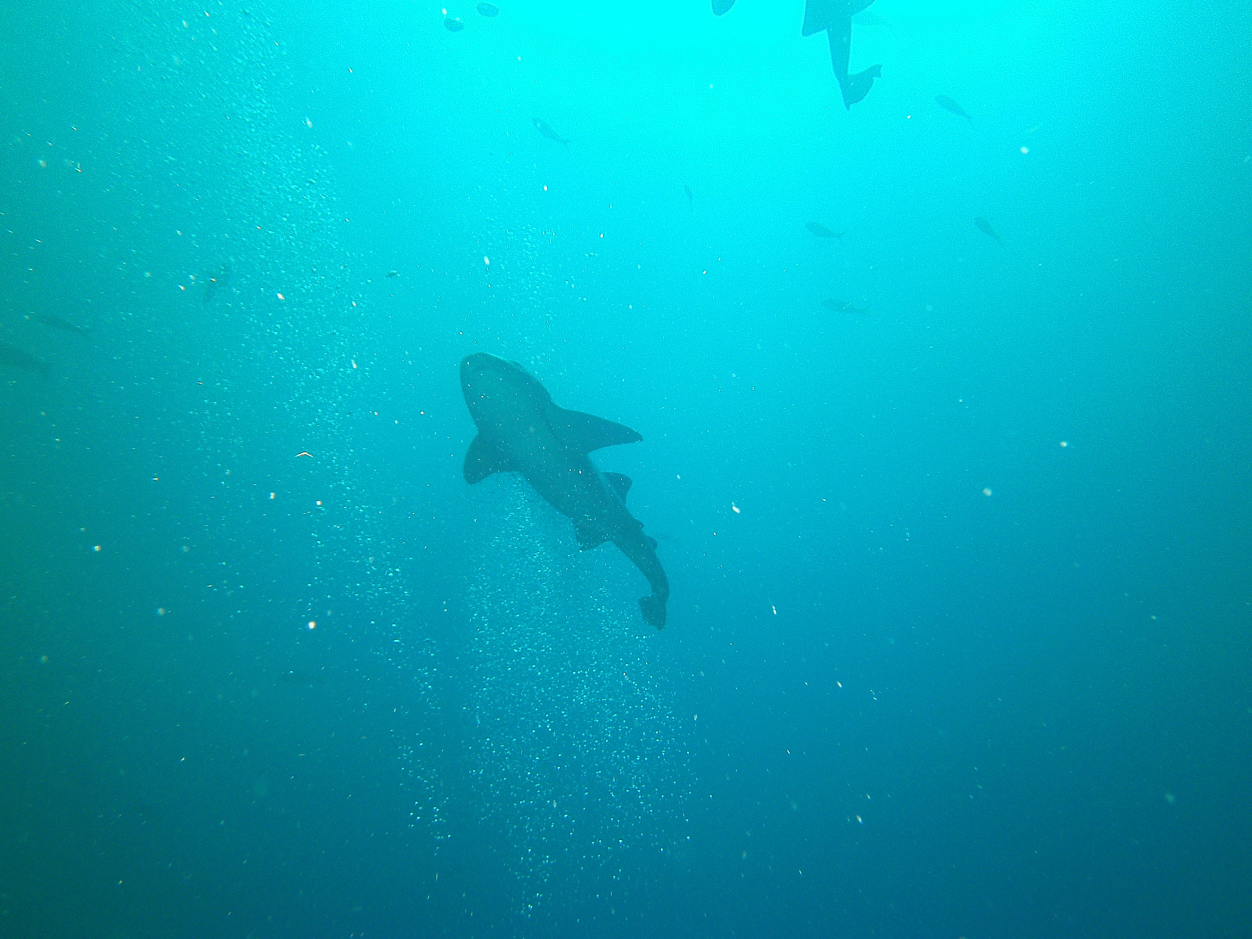 San Pedro Belize photo 6