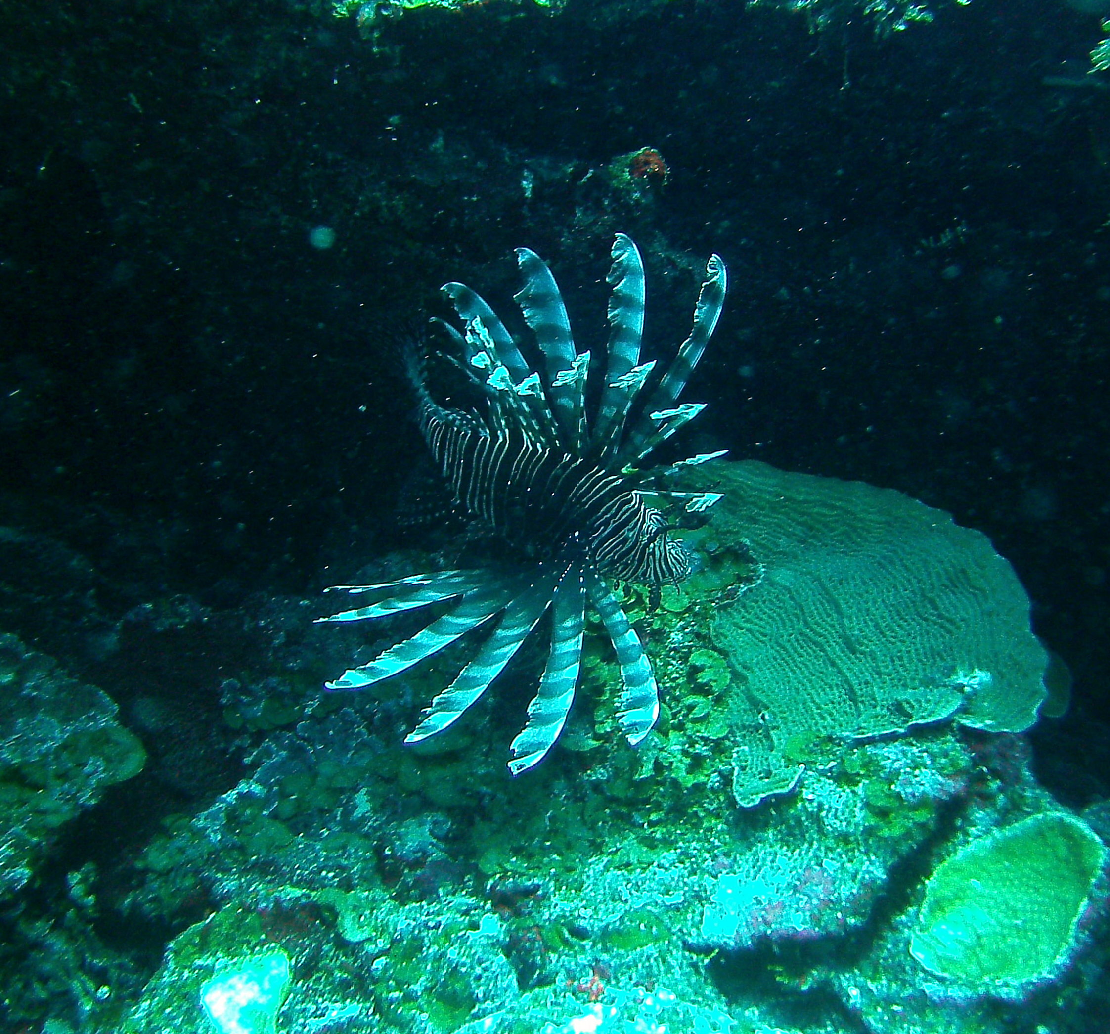 San Pedro Belize photo 9