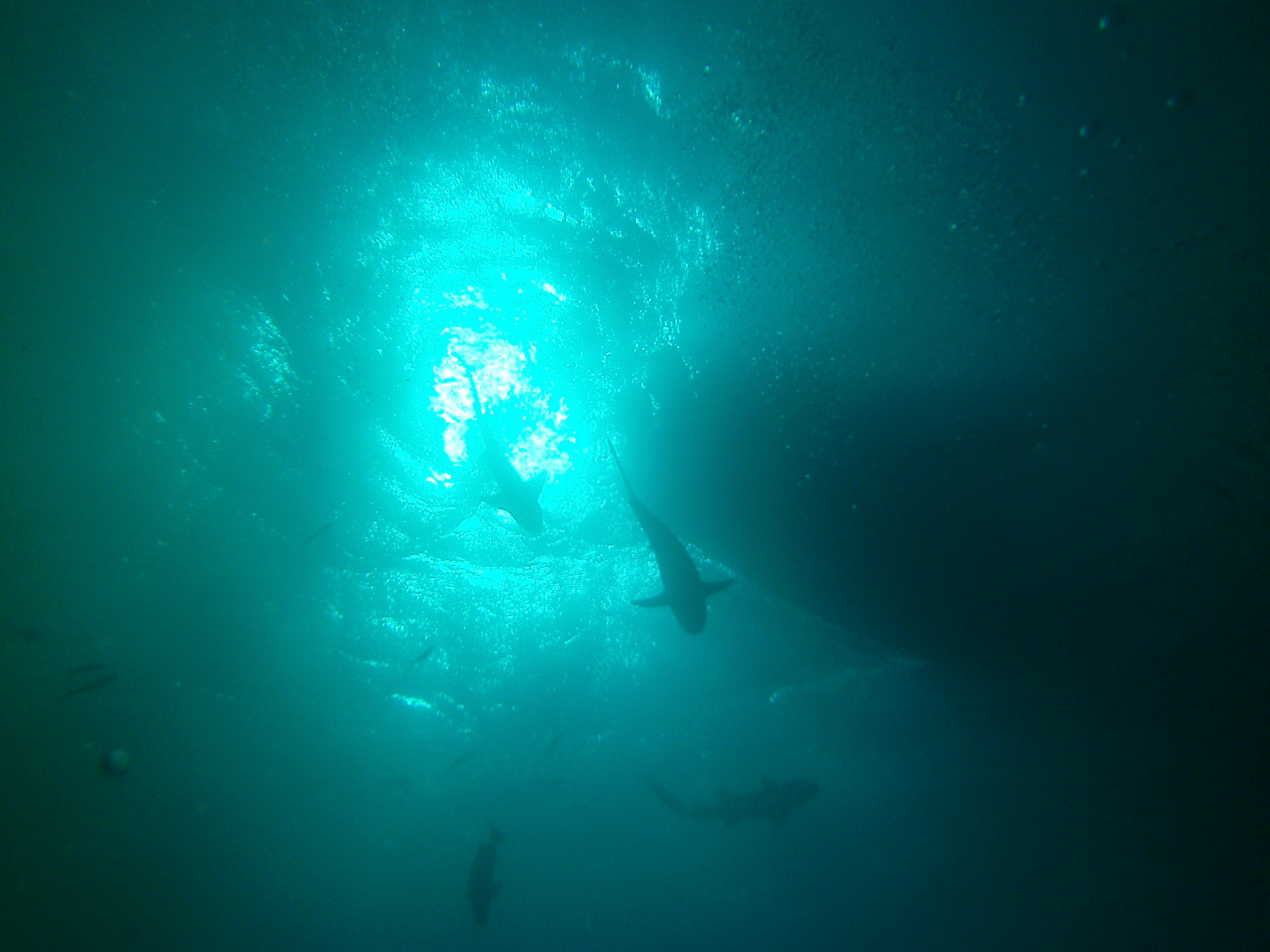 San Pedro Belize photo 10