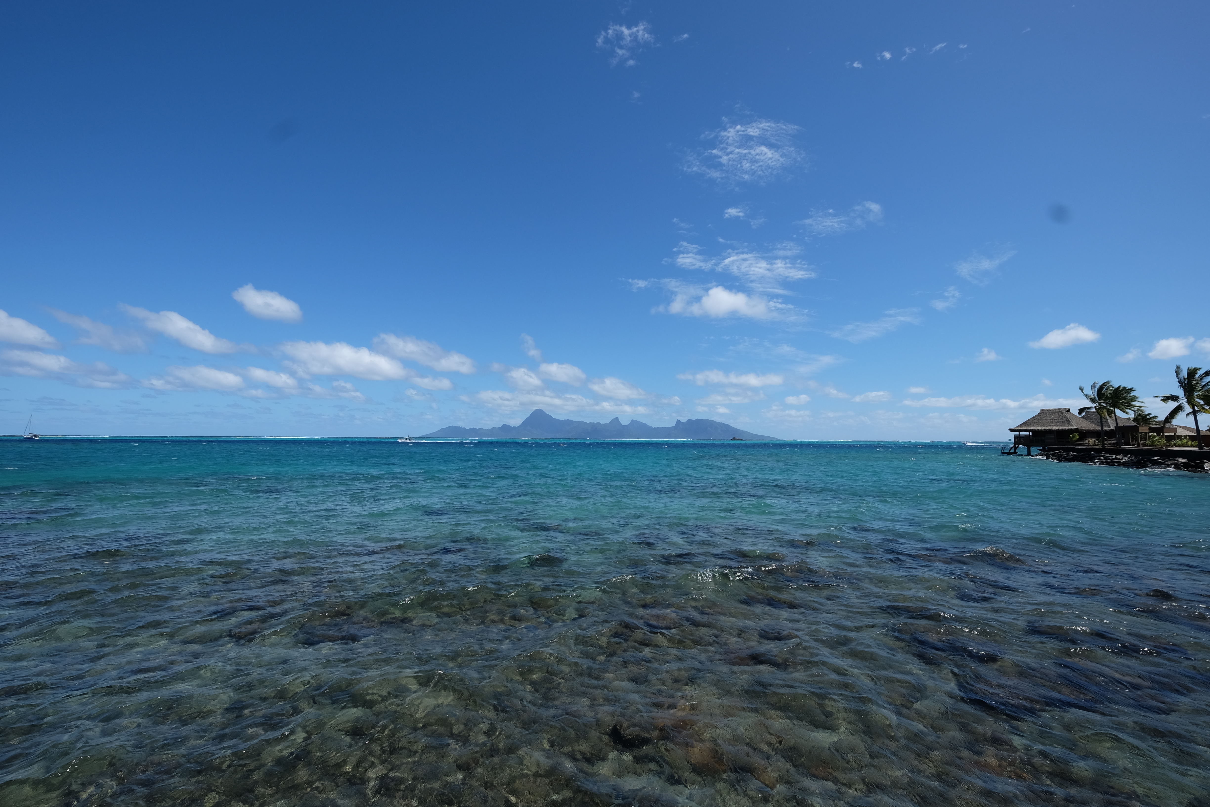 Tahiti French Polynesia photo 5